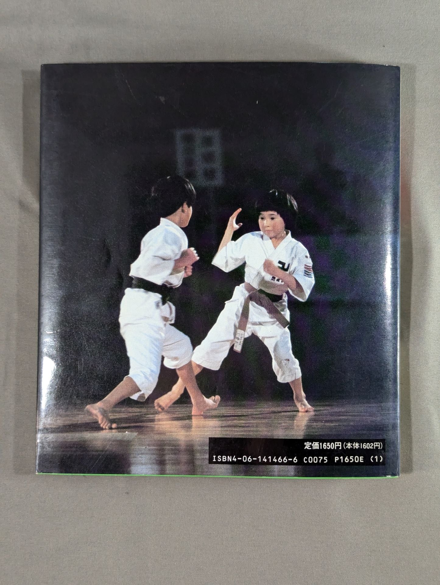 Kodansha Sports Series Shorinji Kempo