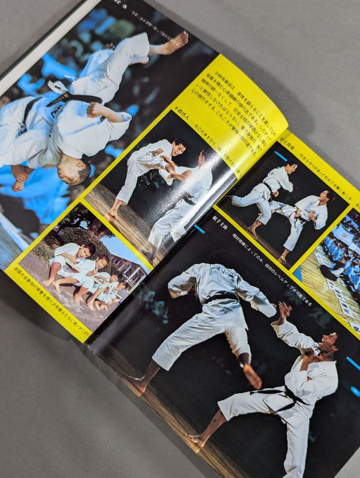 Kodansha Sports Series Shorinji Kempo