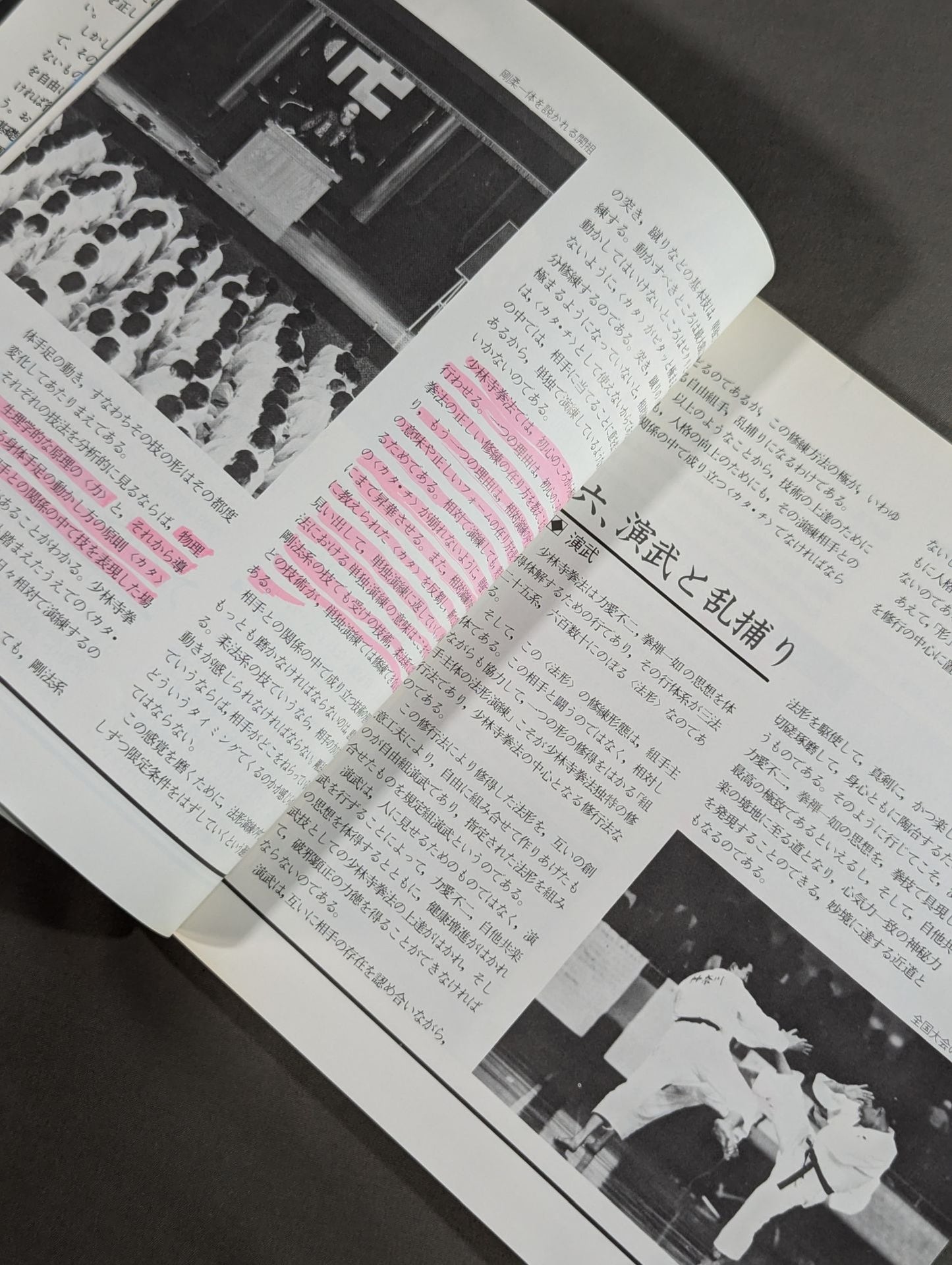 Kodansha Sports Series Shorinji Kempo