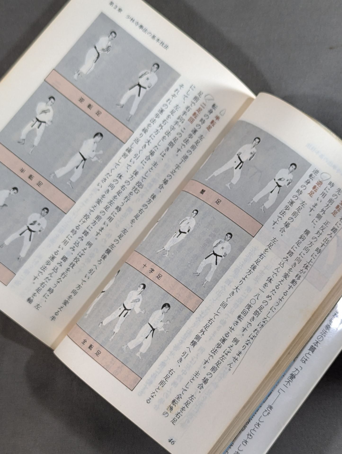 Sports Series 74 Illustrated Coach Shaolin Kempo