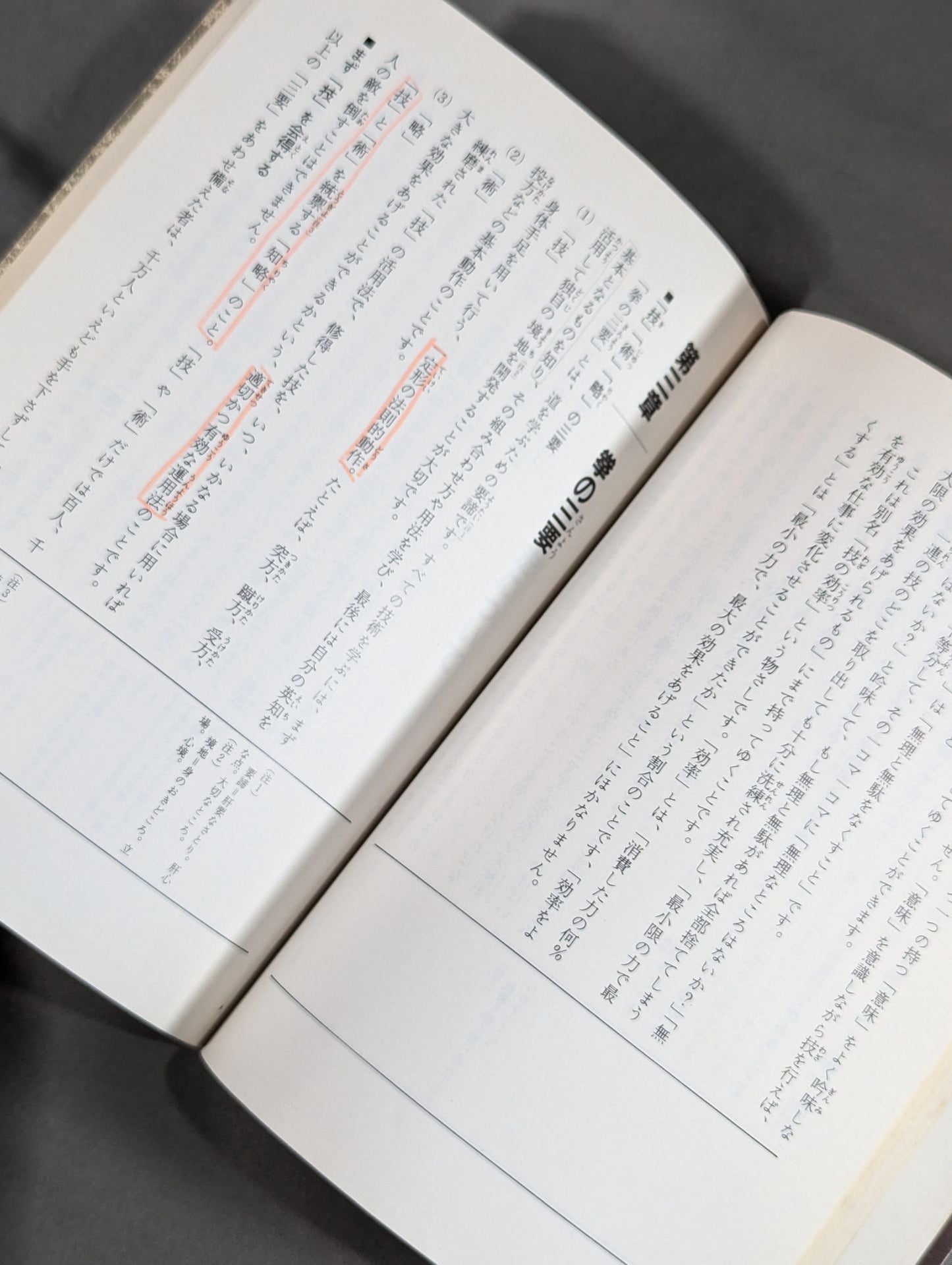 Shaolin Kempo Supplementary Reader