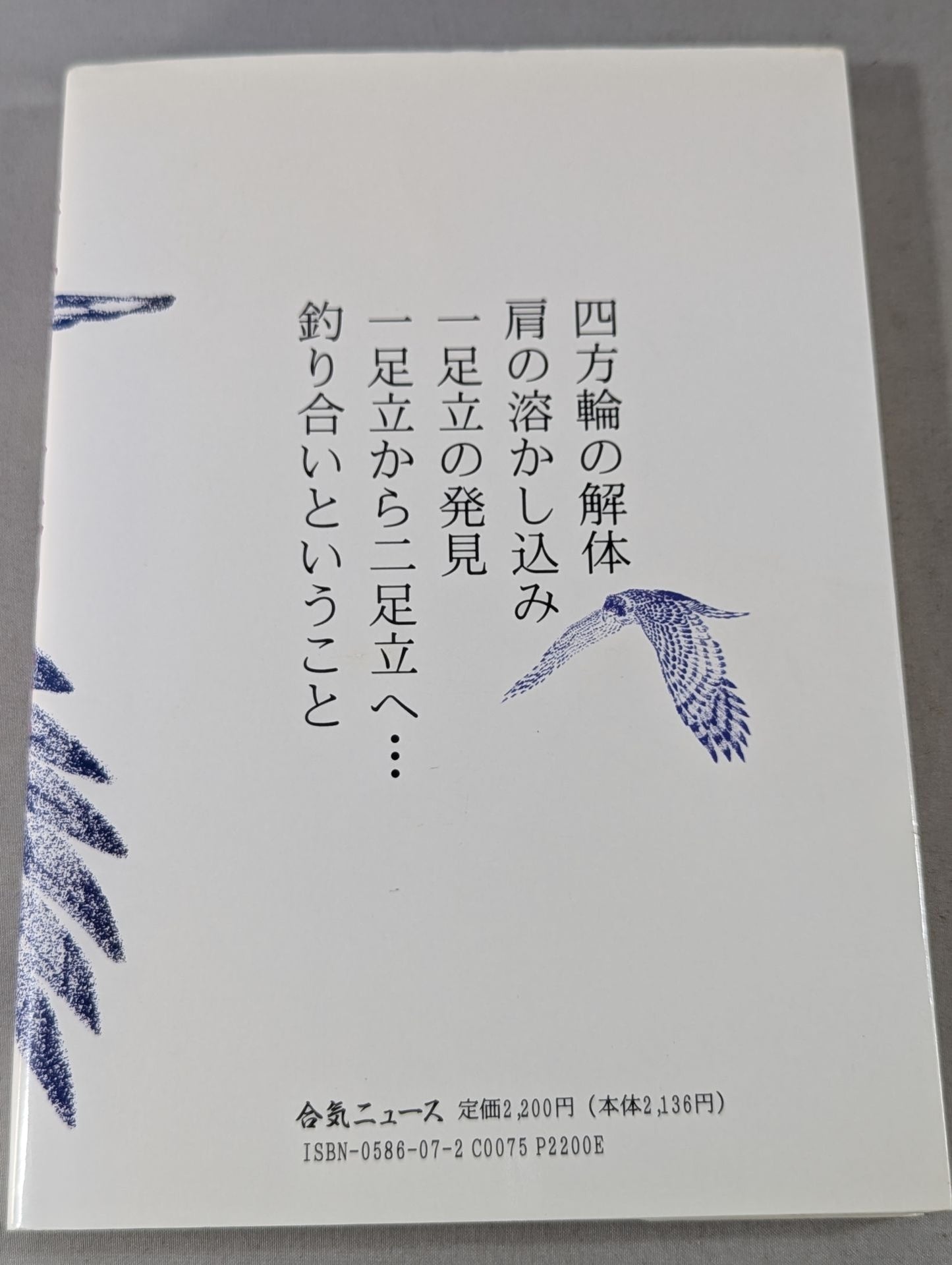 武術で拓く身体の思想 釣り合いということ・・・・
