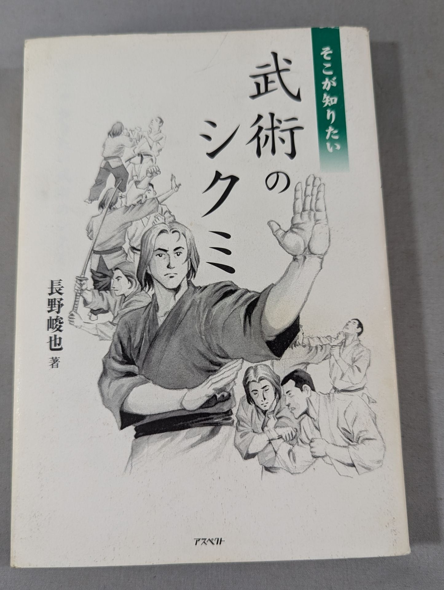 That's where I want to know the martial arts shikumi