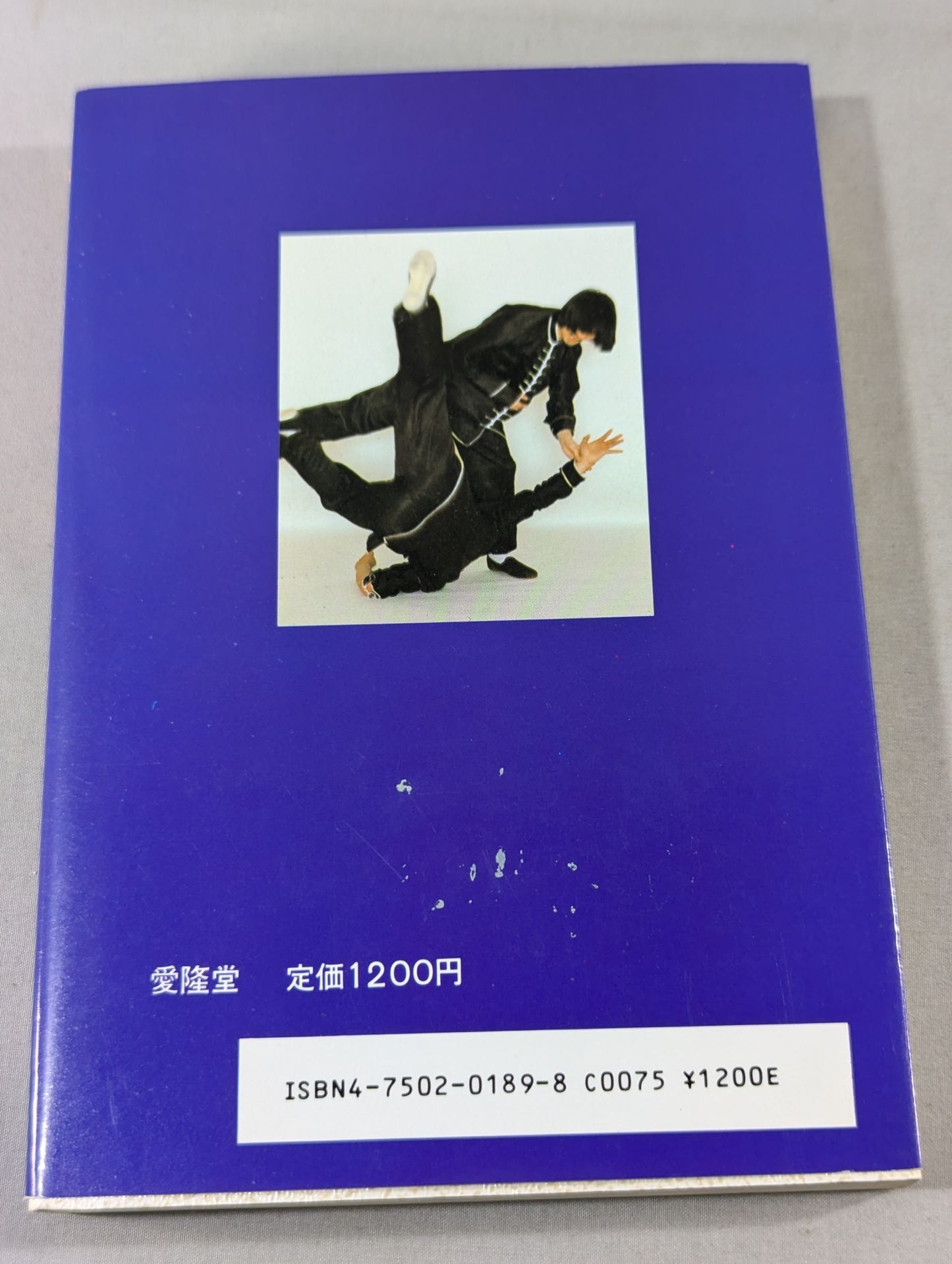 拳法精髄 ハイレベルテクニックを学ぶ