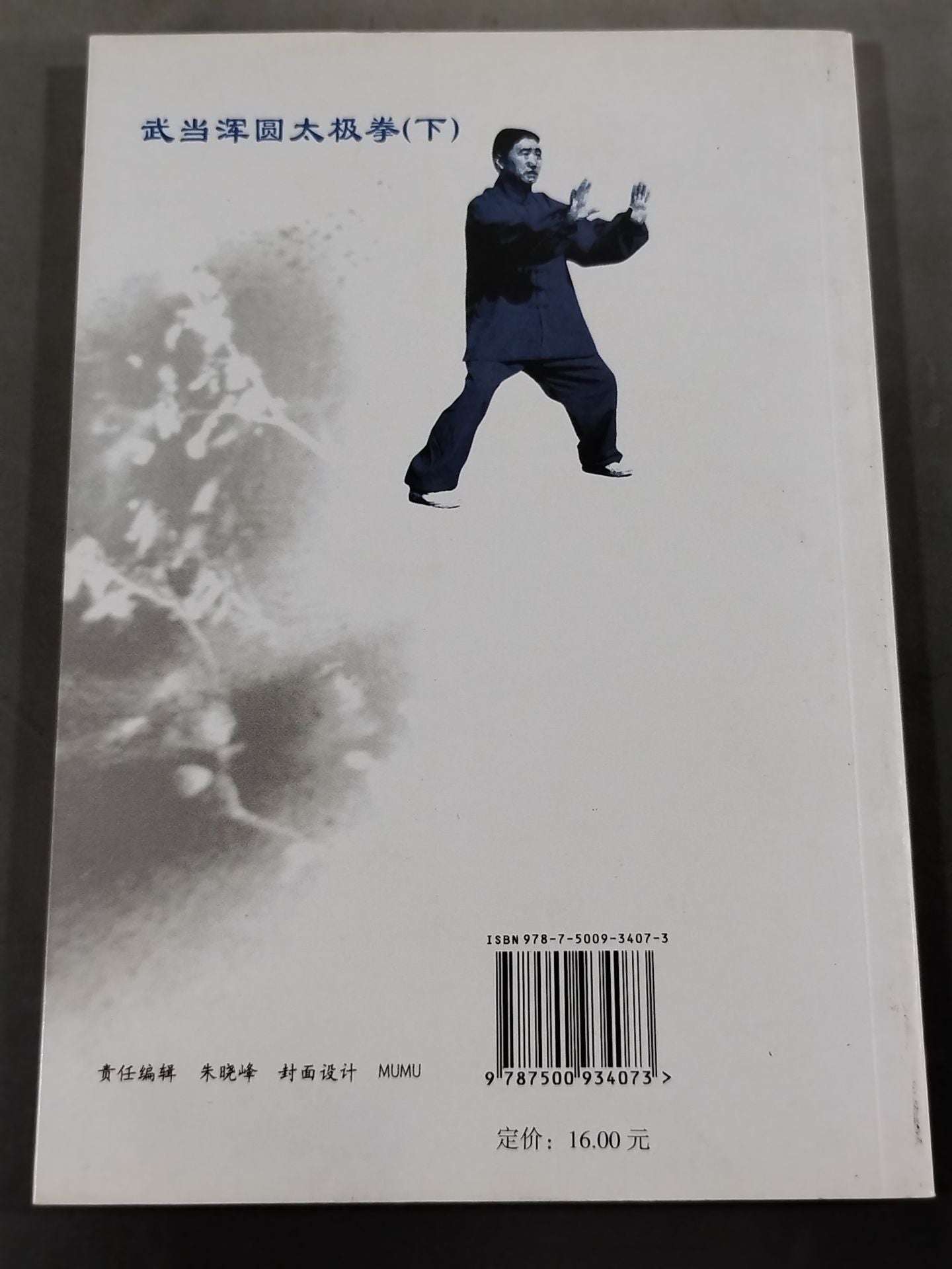 Wudang Tai Chi (bottom)