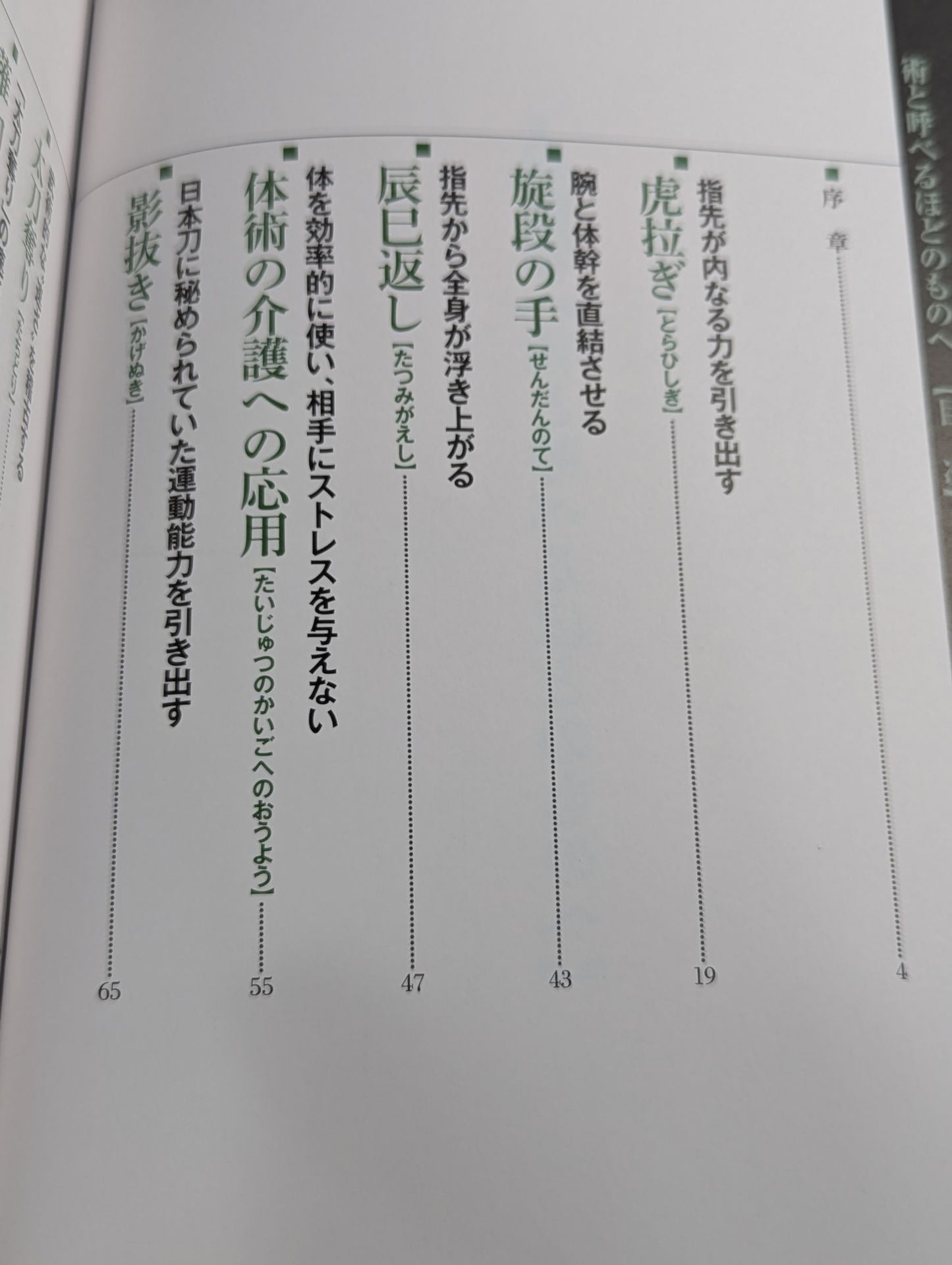 術と呼べるほどのものへ