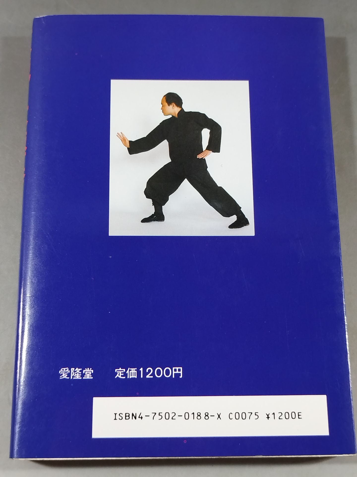 原説・太極拳 気功と太極拳の原点
