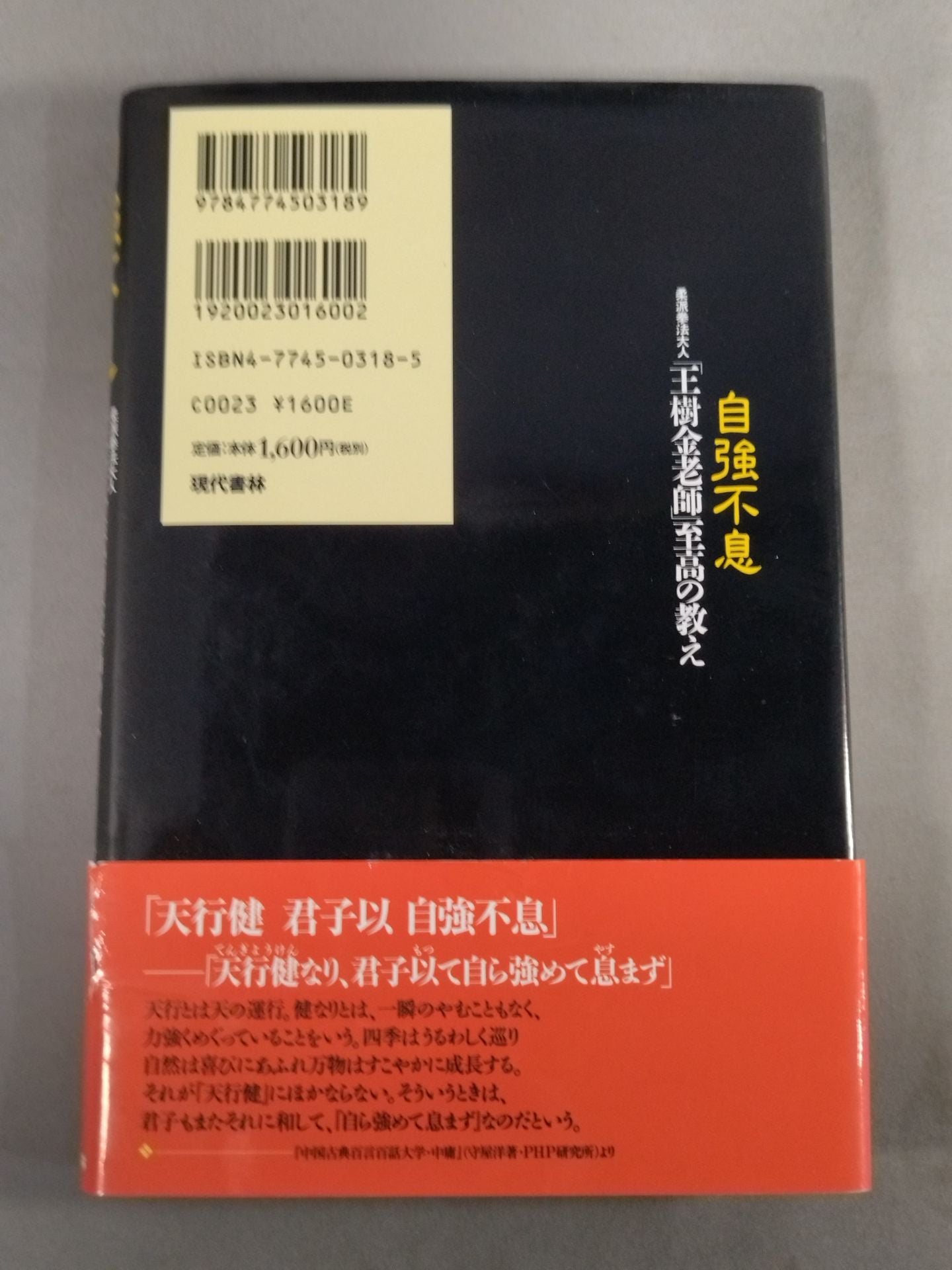 自強不息 柔派拳法大人「王樹金老師」 至高の教え