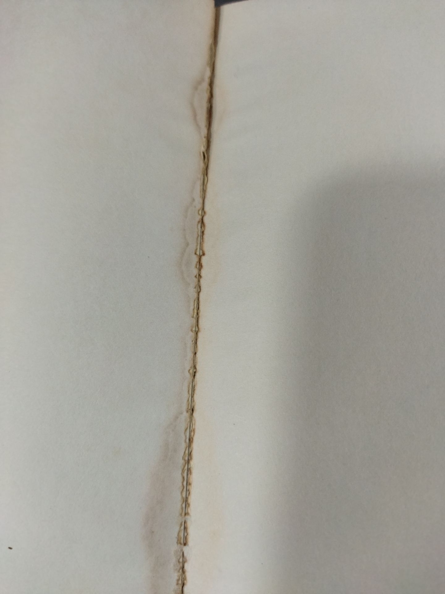 燃えよ士道魂 わが青春の闘い