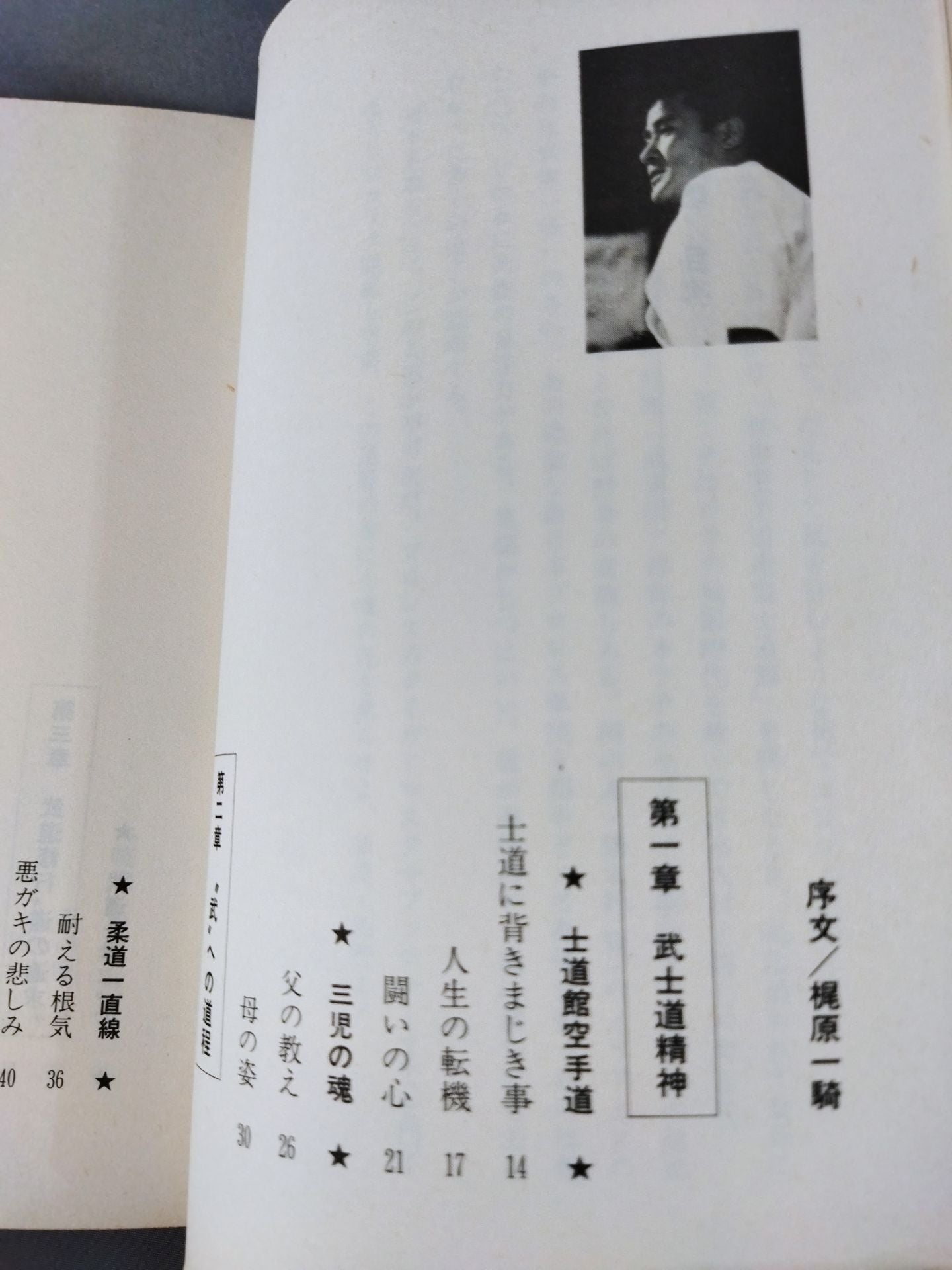 燃えよ士道魂 わが青春の闘い