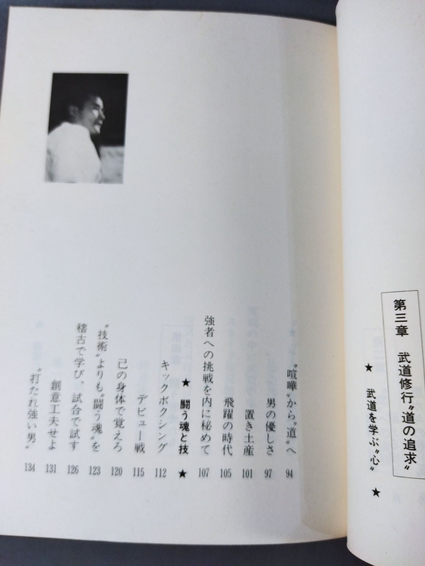 燃えよ士道魂 わが青春の闘い