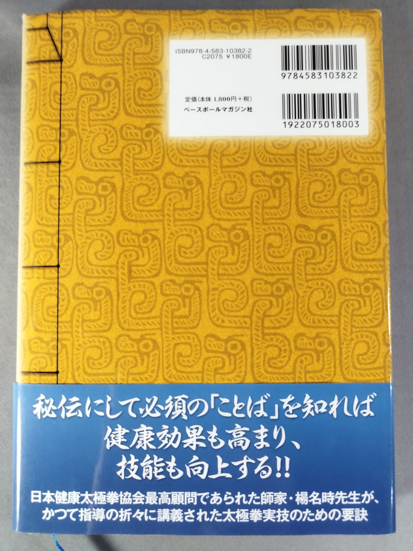 健康太極拳稽古要諦 楊名時太極拳の秘必用法と太極拳古典文献