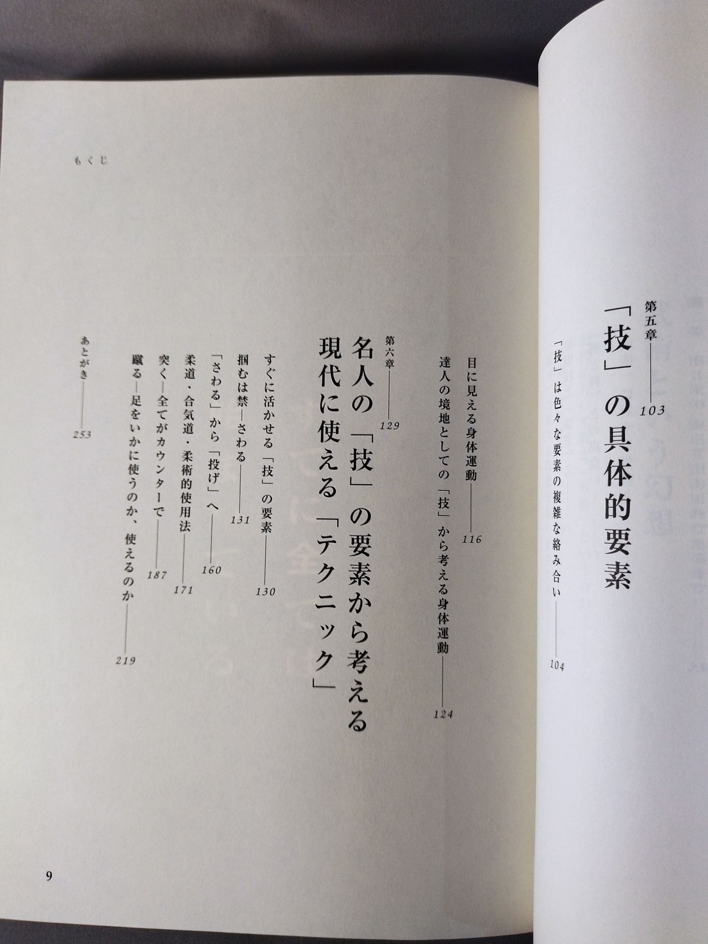 Martial Arts Revolution: Superhumanism Approaching True Masters