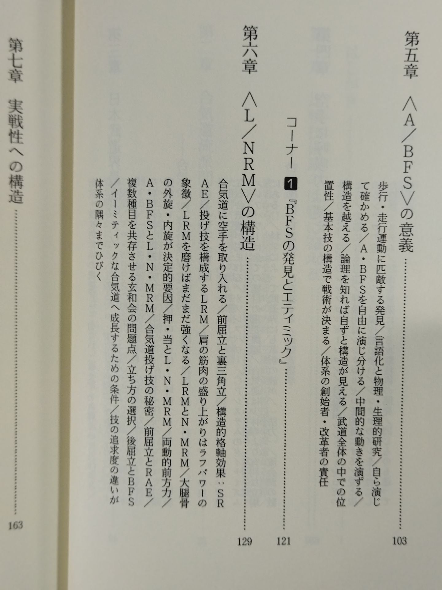 続 空手・合気・少林寺 徹底比較技術論の発展