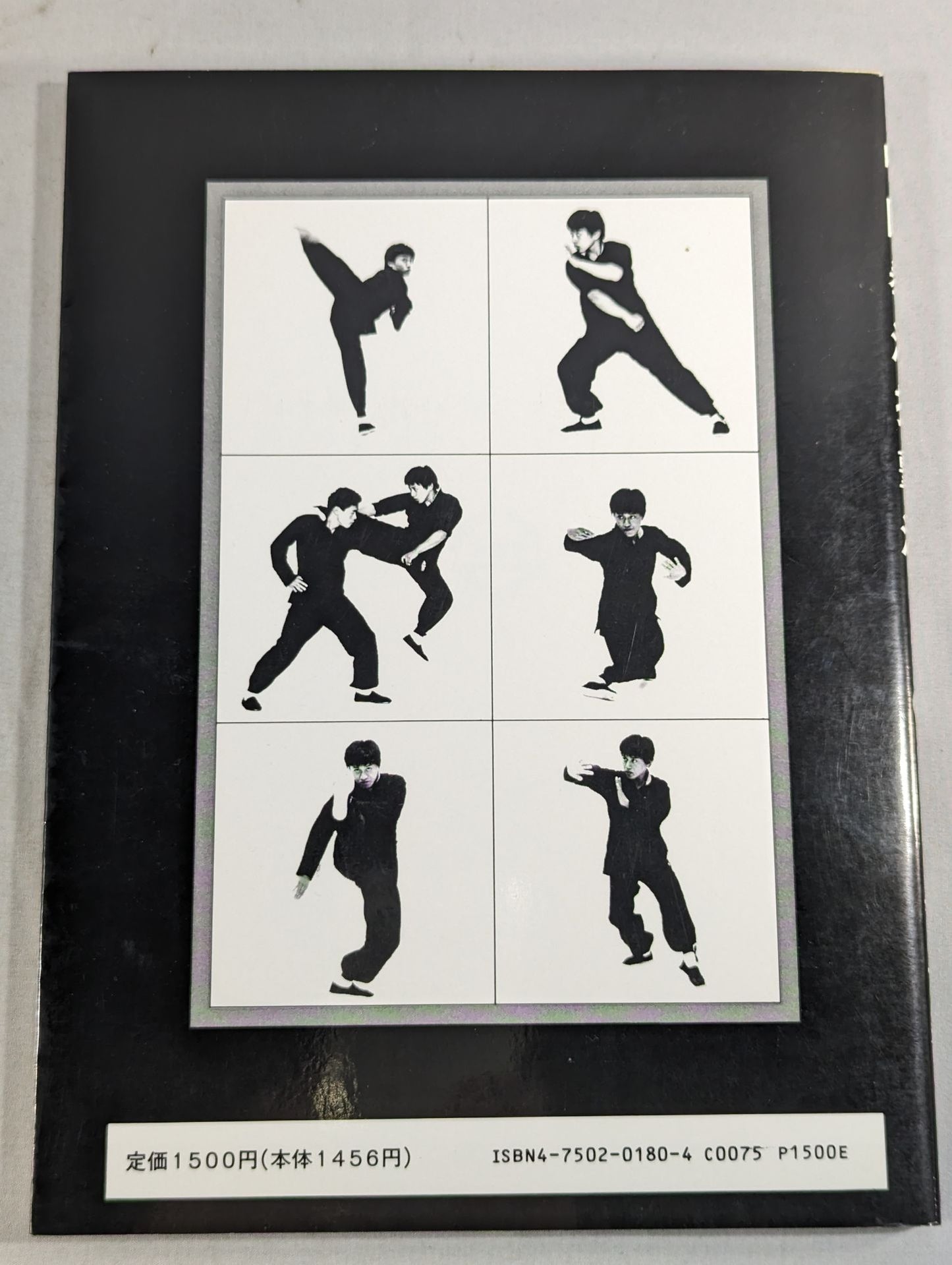 Chinese Kempo Striking