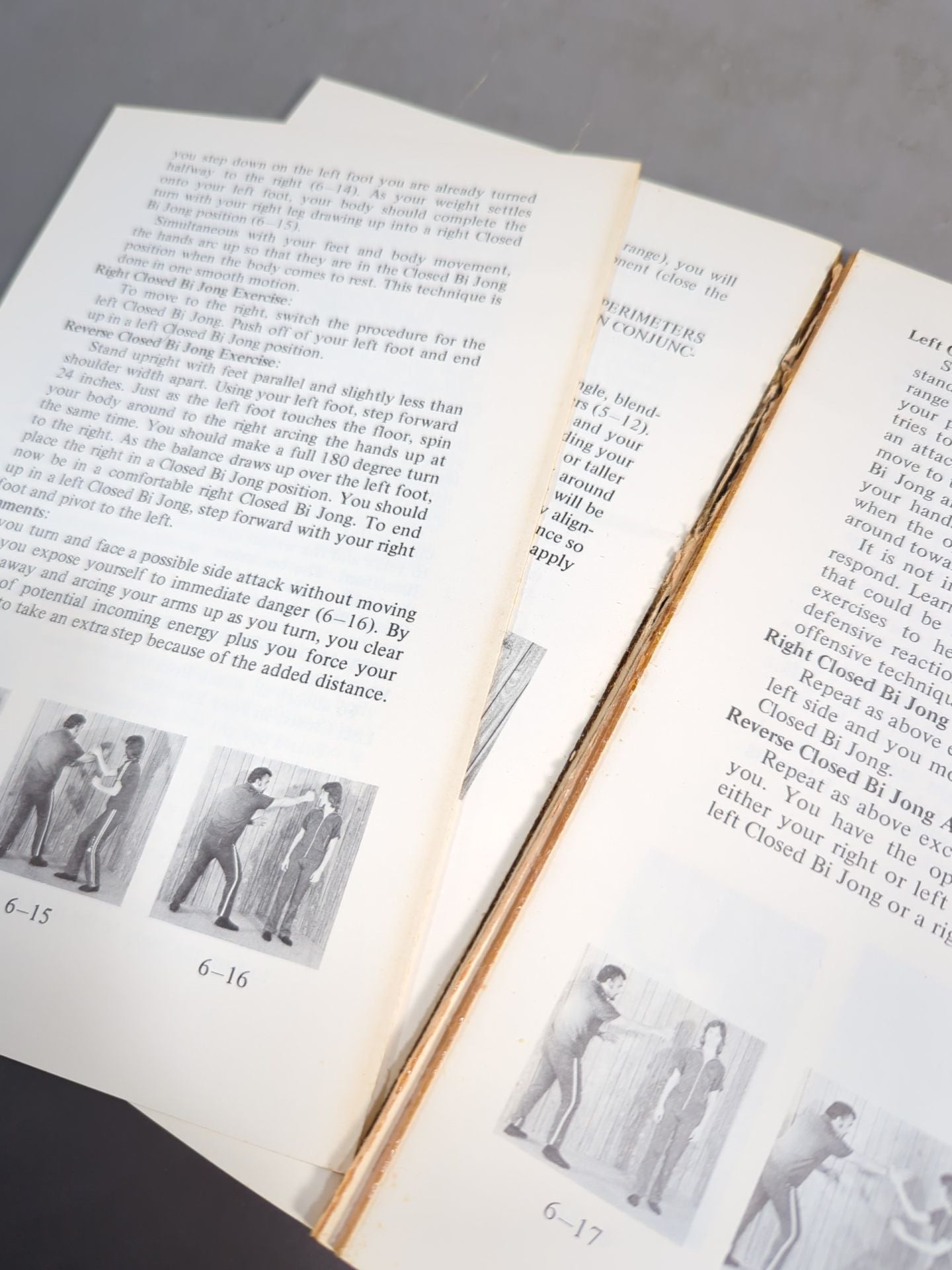 TAO of WING CHUN DO (VOLUMEⅠ Part1)