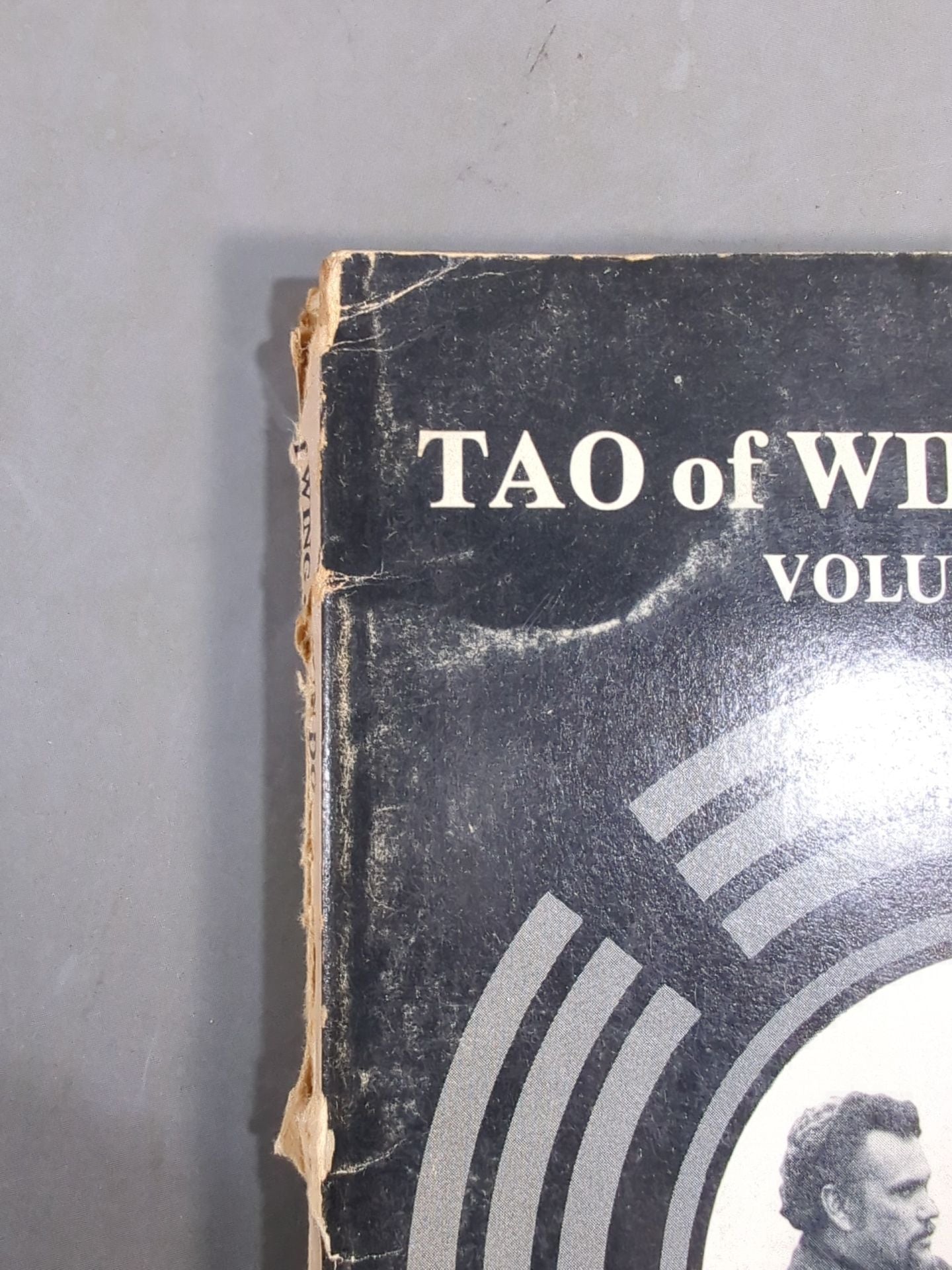 TAO of WING CHUN DO (VOLUMEⅠ Part1)
