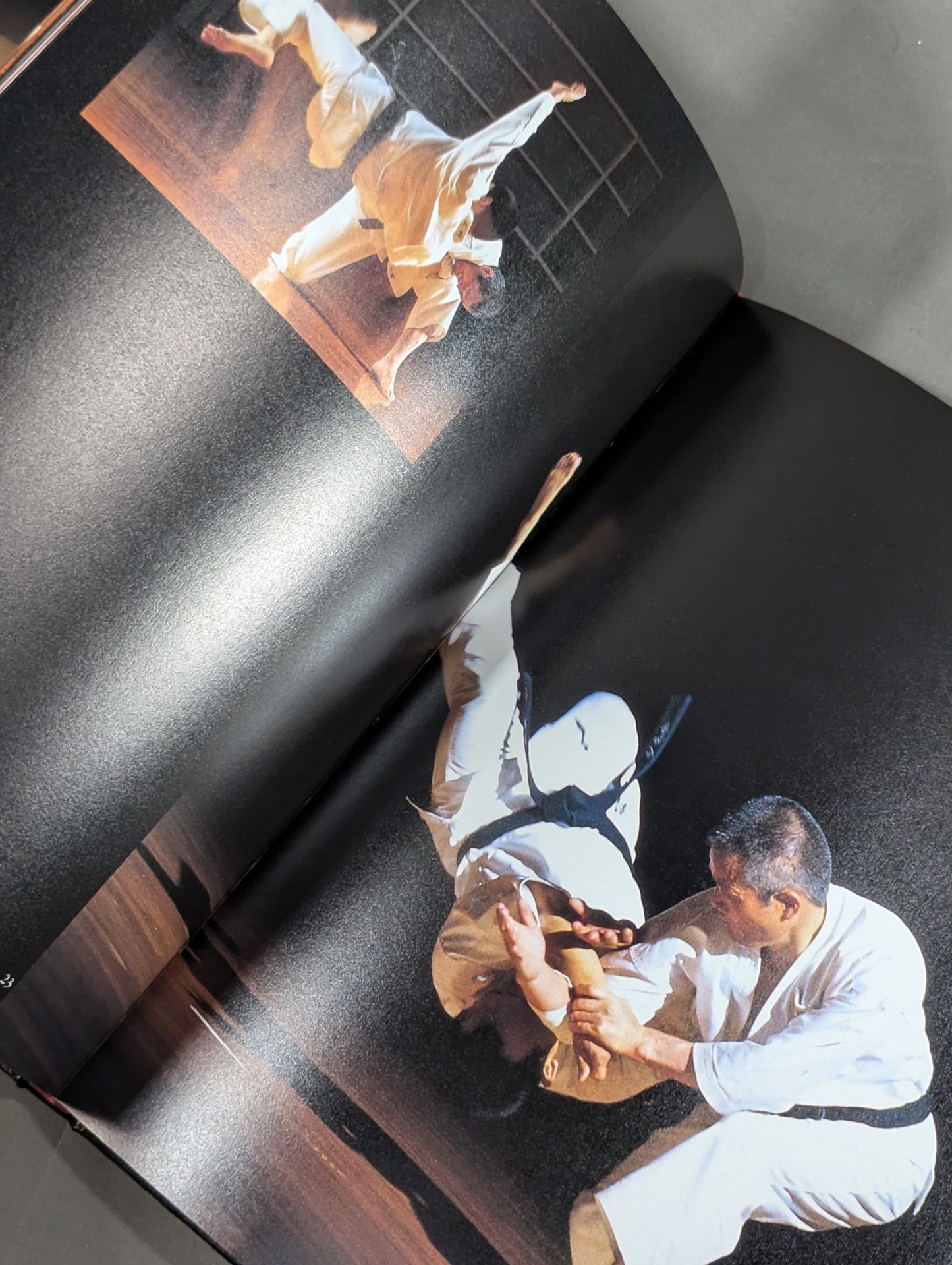 Shaolin Kempo
