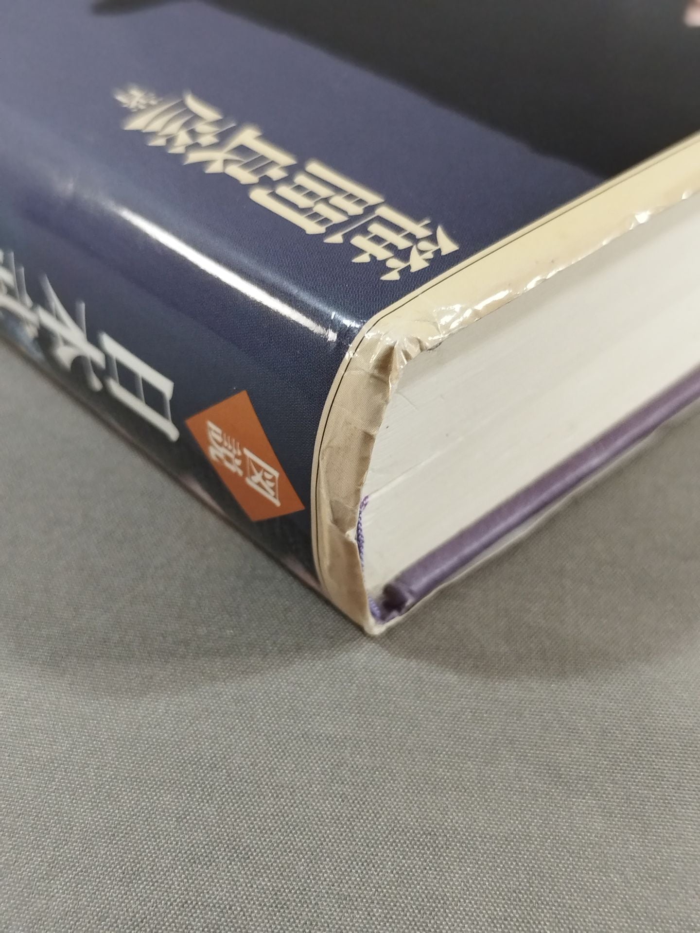 Illustrated Japan Martial Arts Dictionary Popular Edition