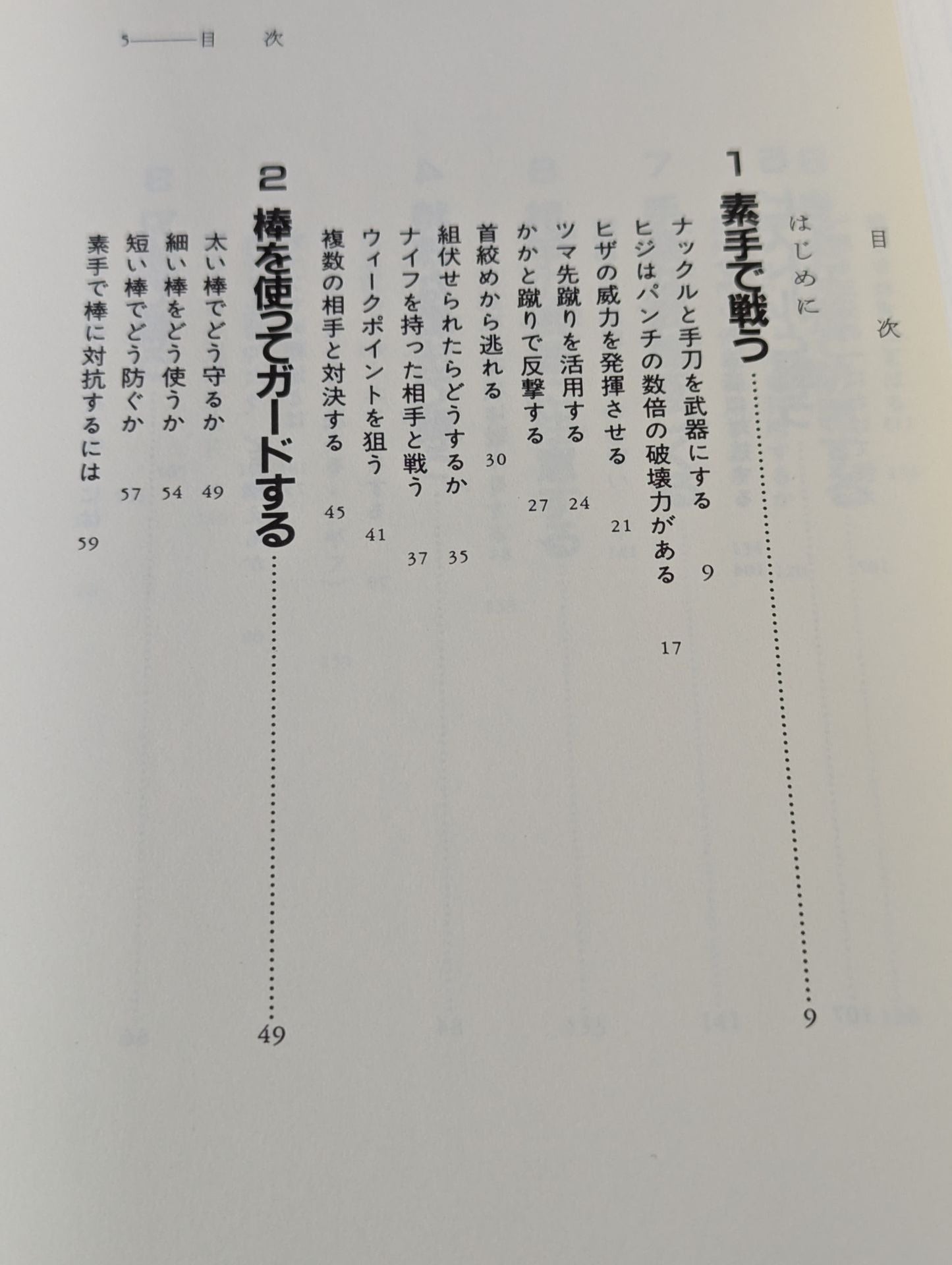 ザ・ファイティング グリンベレー流格闘術