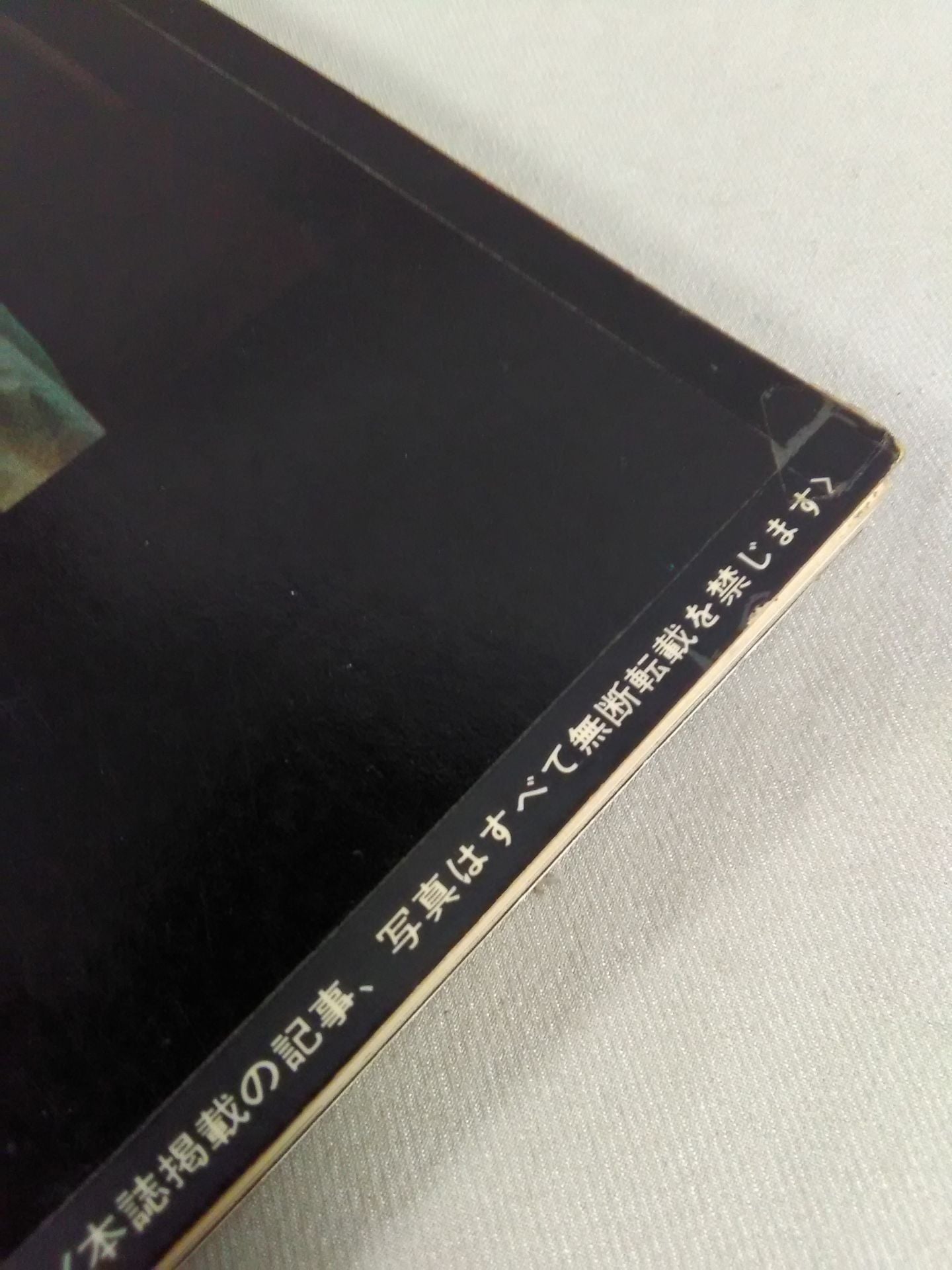 Definitive Edition Bruce Lee Young Idol Now Special Issue