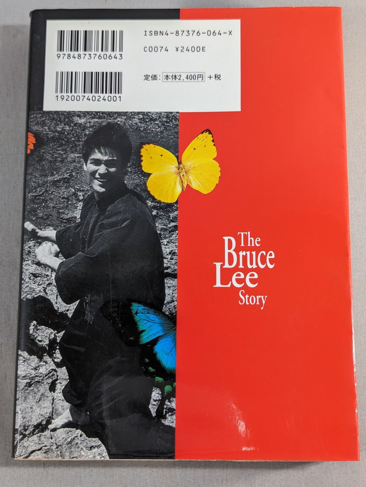 The Bruce Lee  Story