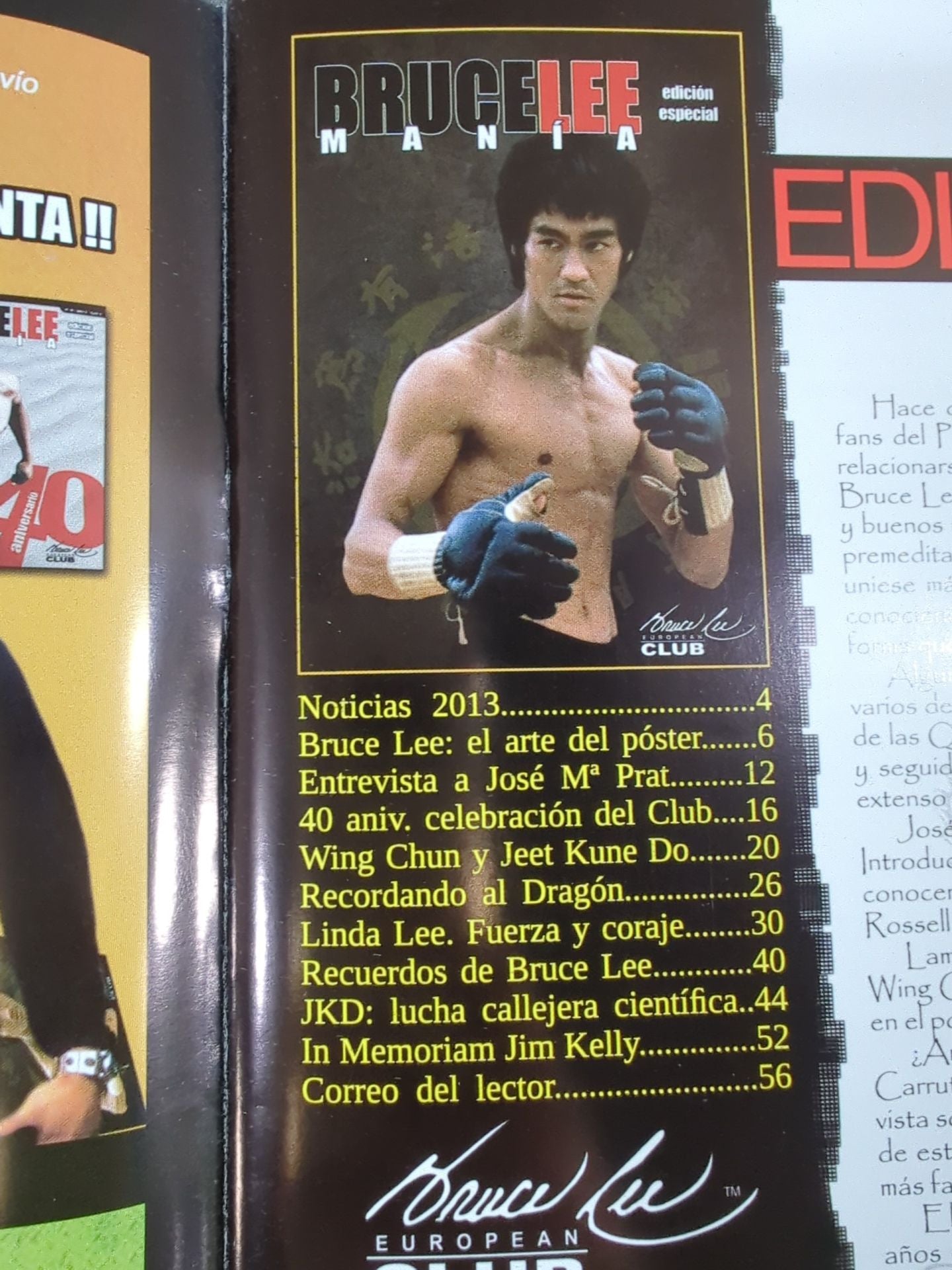 BRUCE LEE MANIA No.11