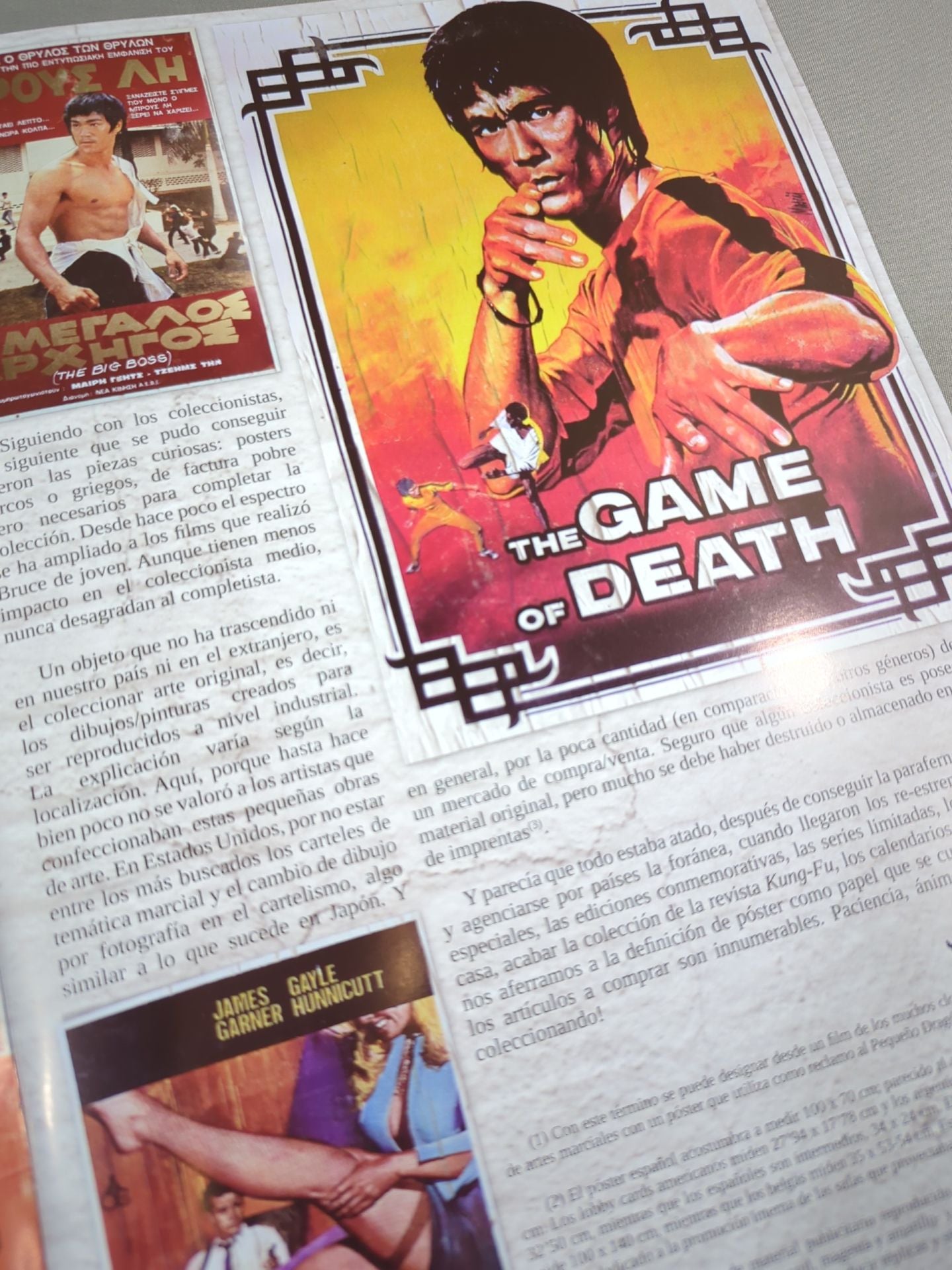 BRUCE LEE MANIA No.11
