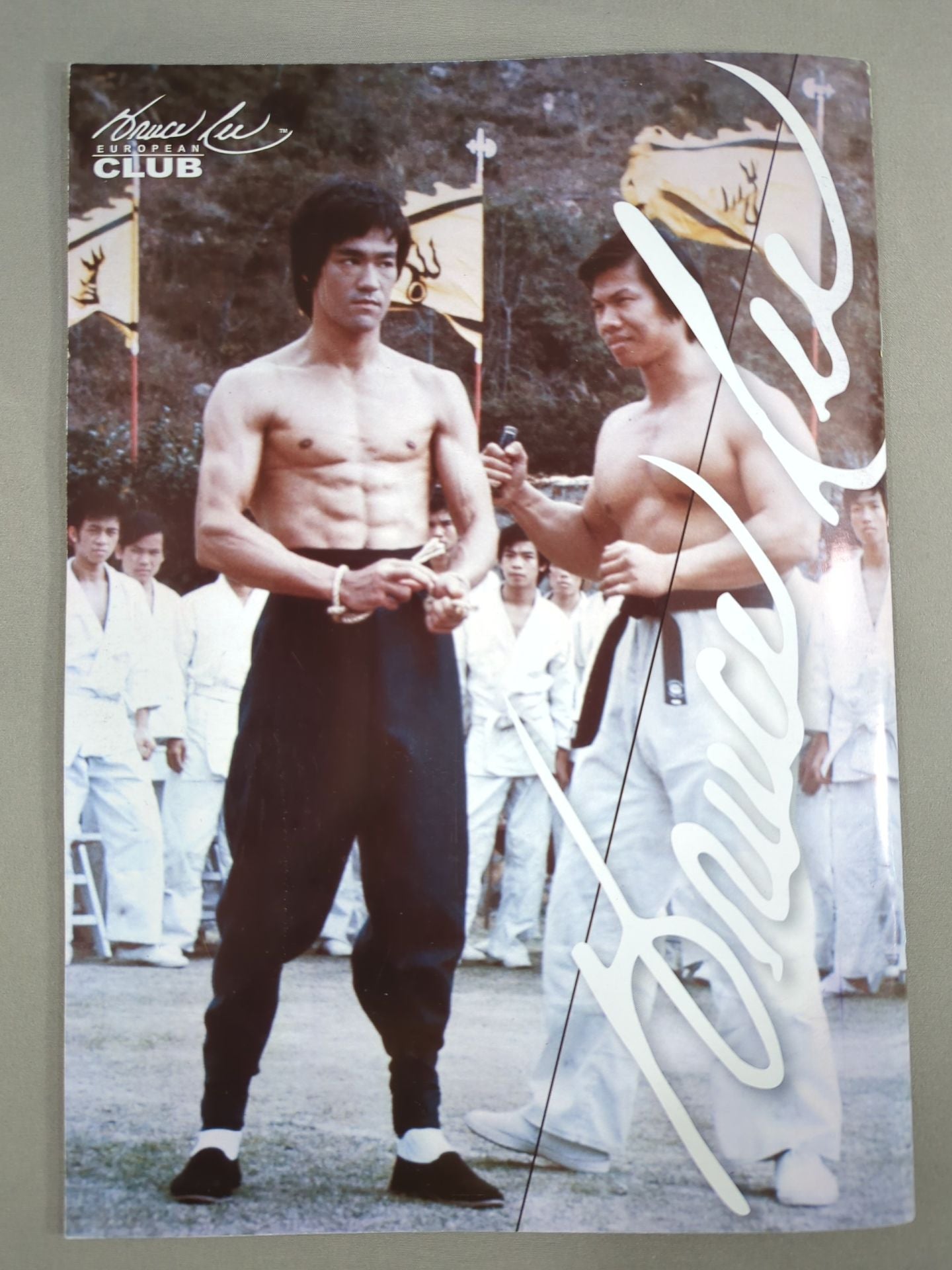 BRUCE LEE MANIA No.11