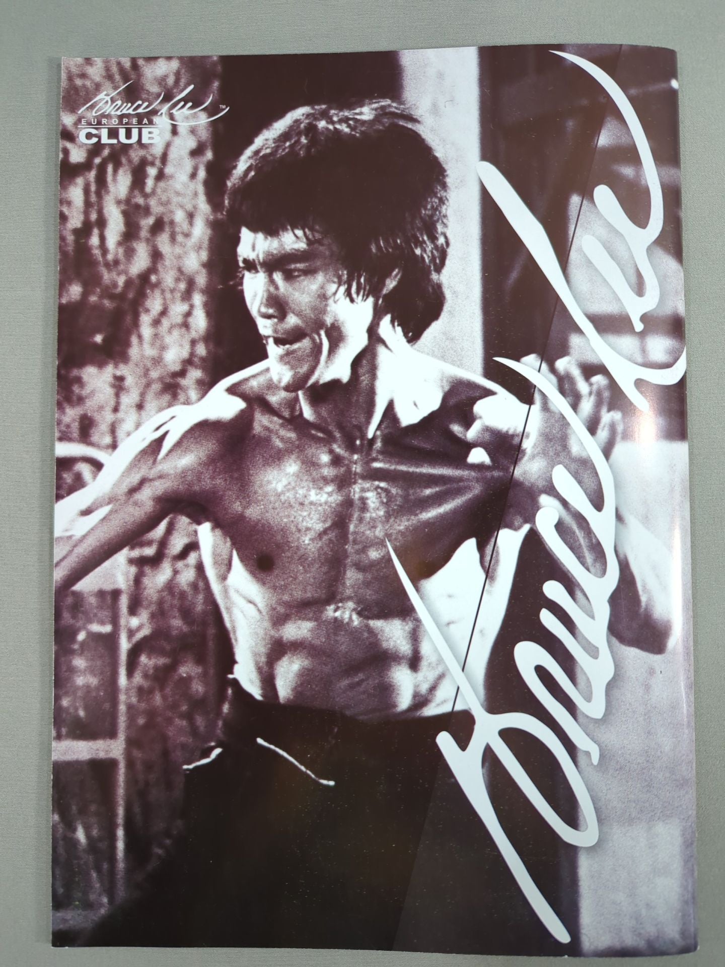 BRUCE LEE MANIA No.13