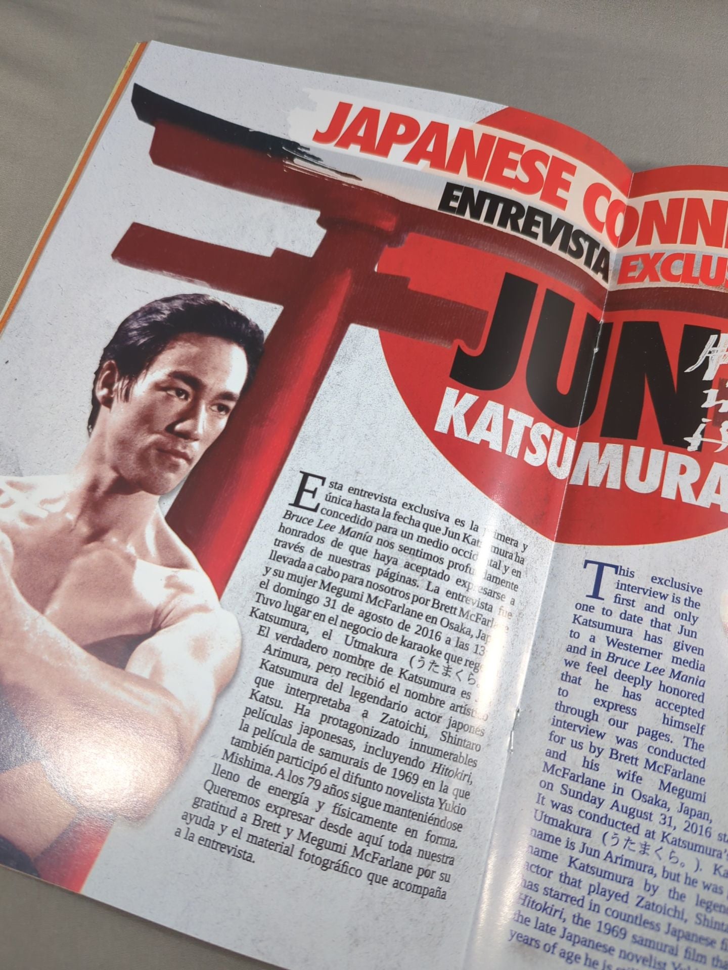 BRUCE LEE MANIA No.17