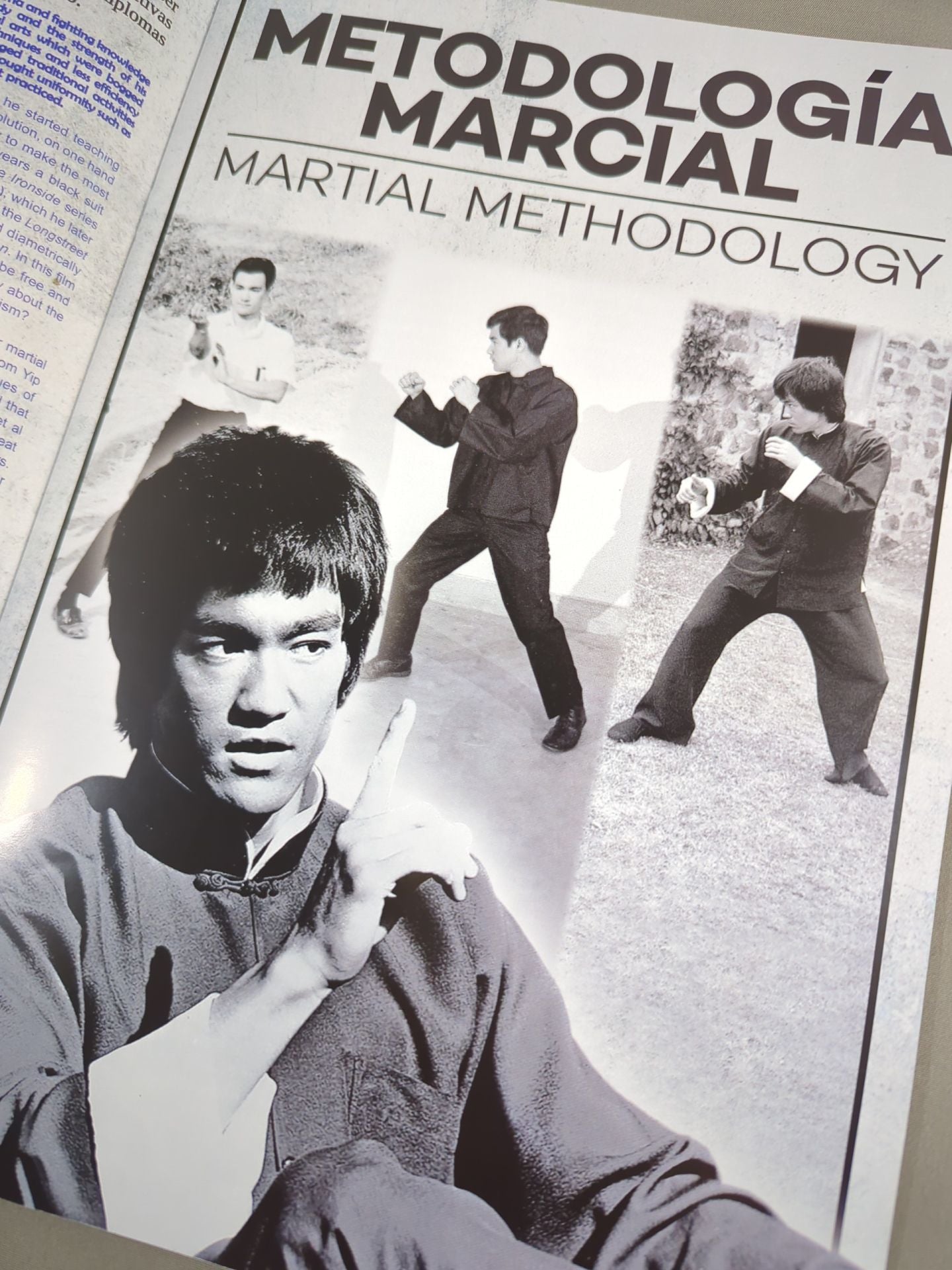 BRUCE LEE MANIA No.22
