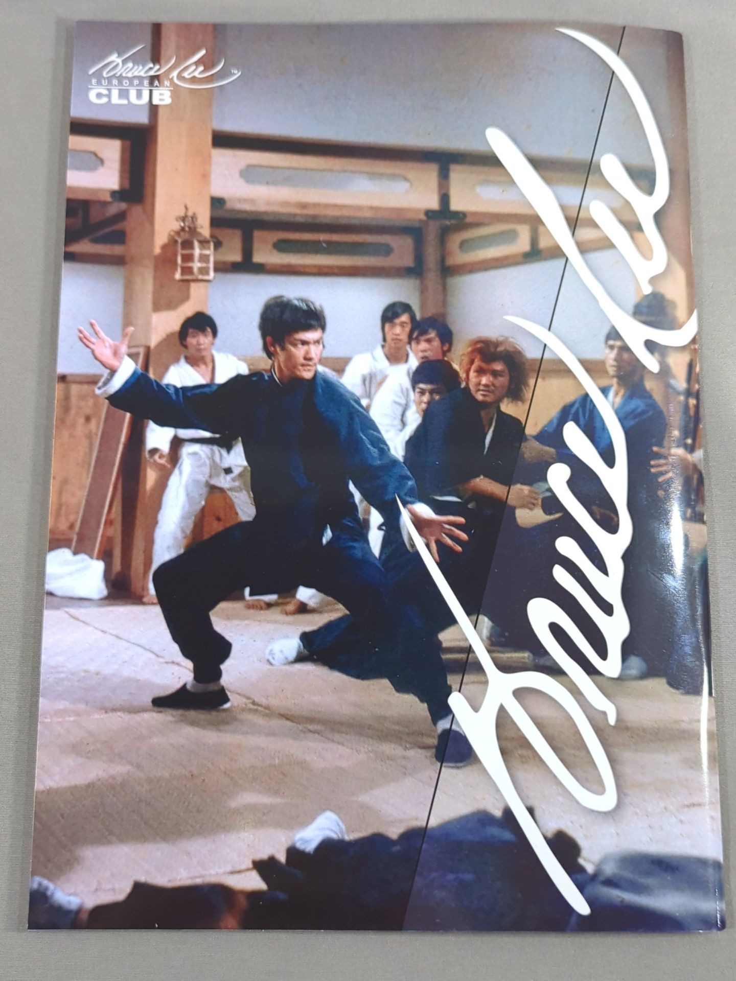 BRUCE LEE MANIA No.22