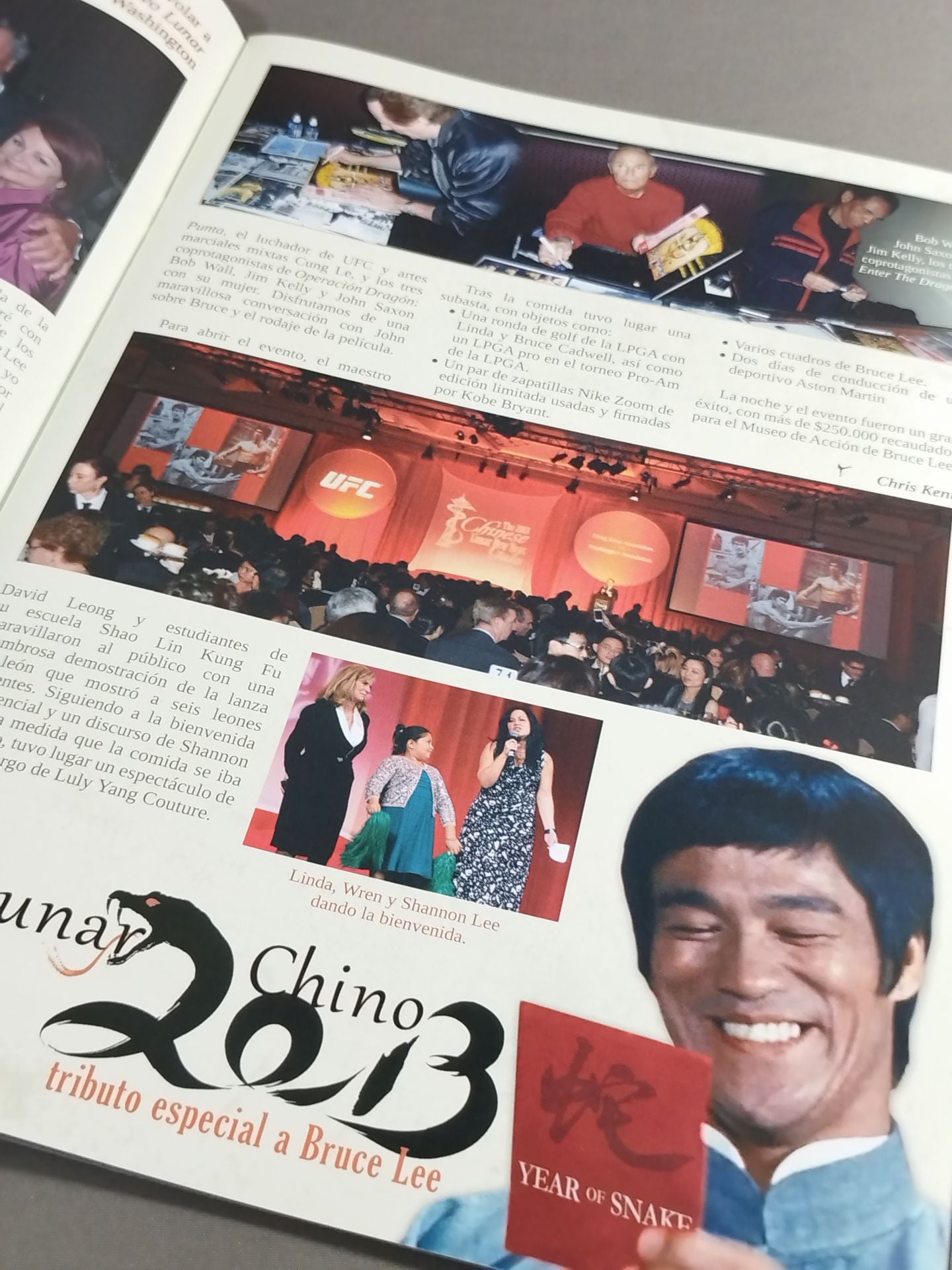 BRUCE LEE MANIA No.10