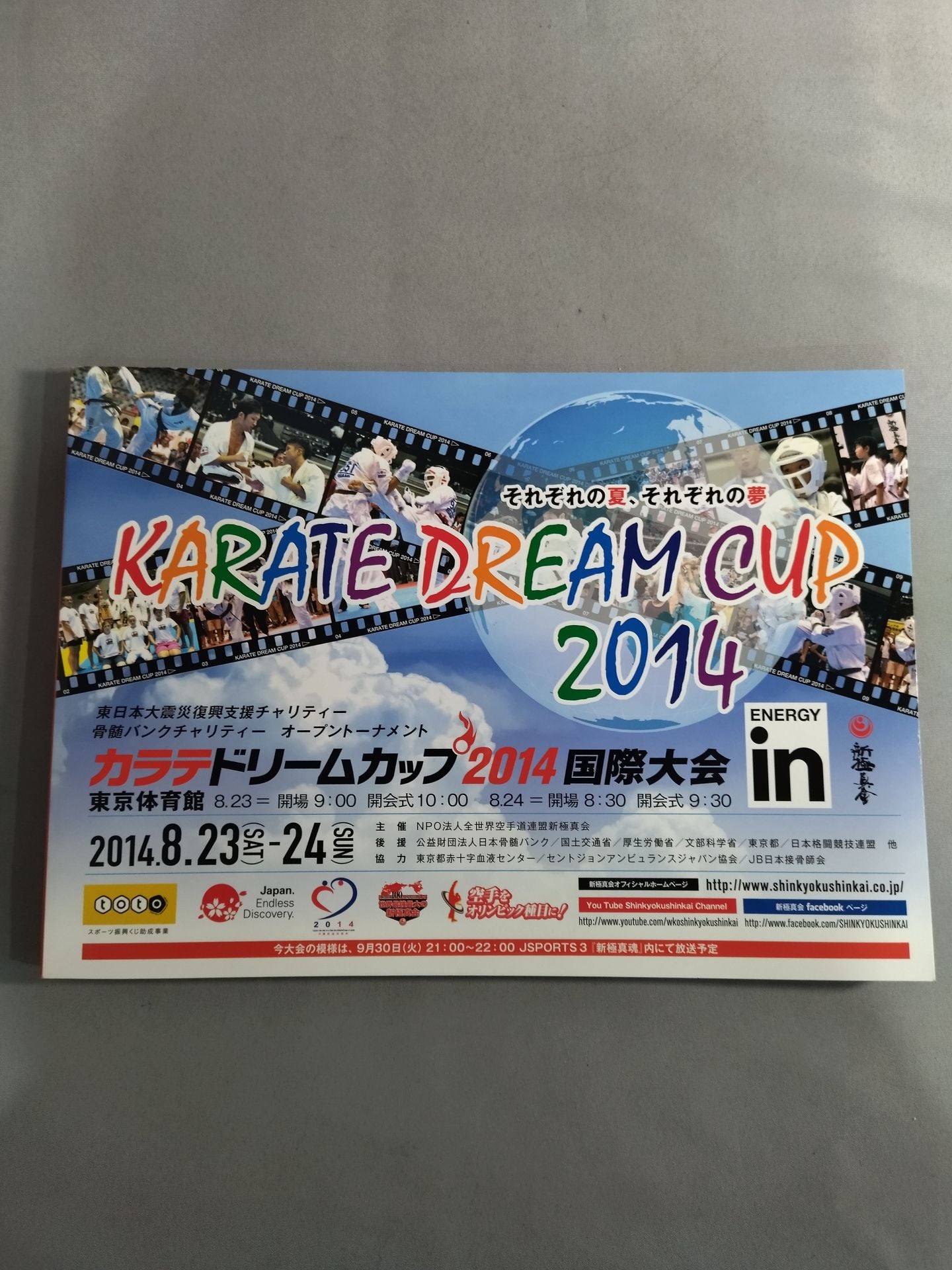 新極真会 カラテドリームカップ2014 国際大会
