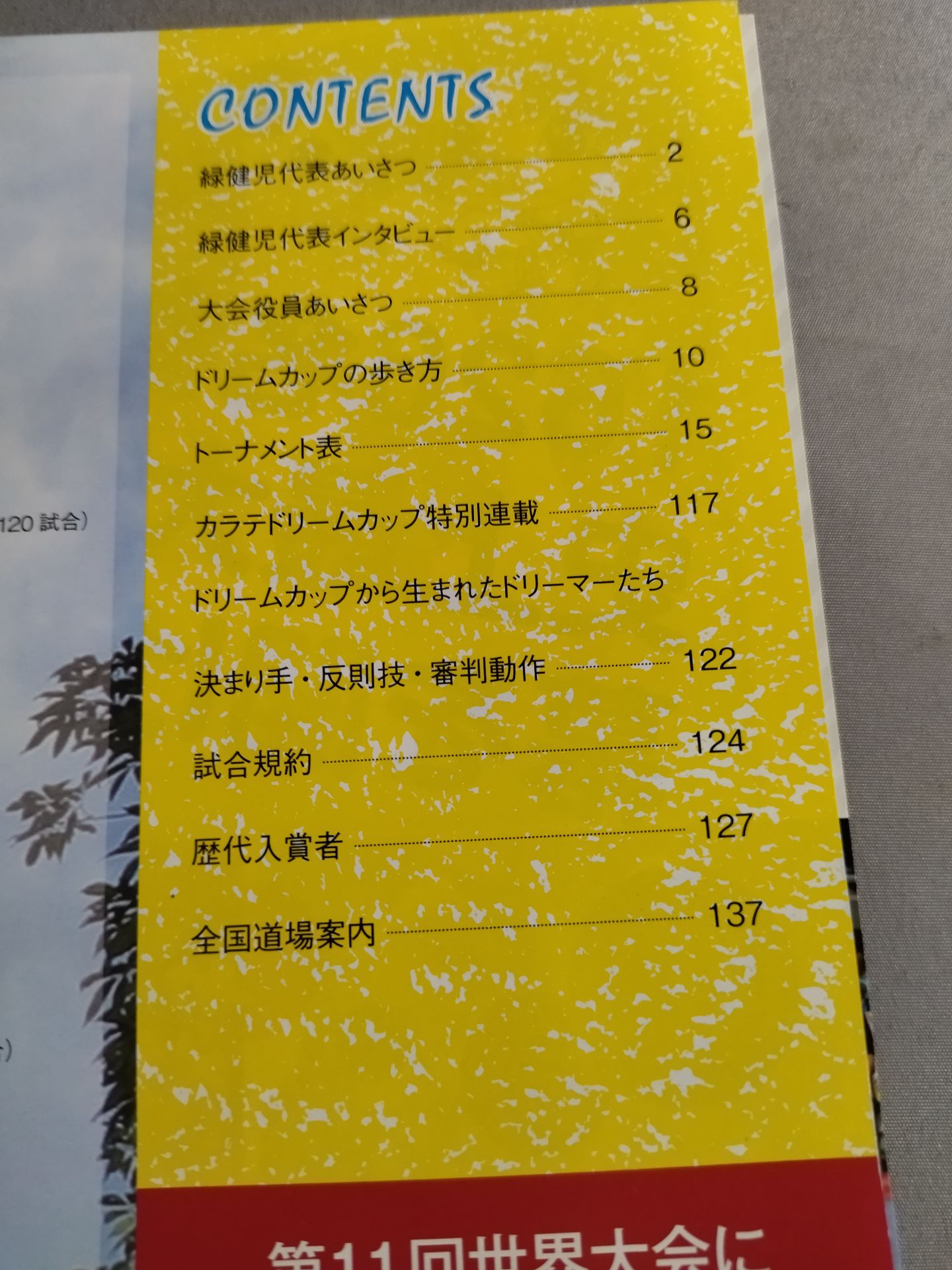 新極真会 カラテドリームカップ2014 国際大会