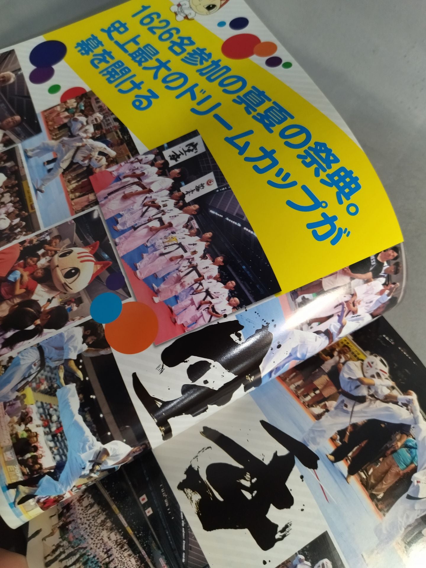 新極真会 カラテドリームカップ2014 国際大会