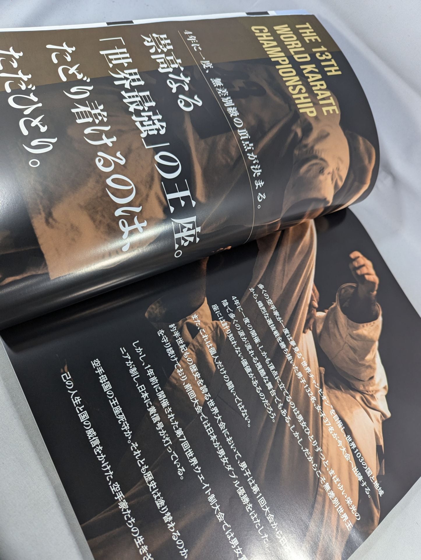 New Kyokushinkai 13th Open Tournament WorldwideKARATE Road Fighters Rights Tournament