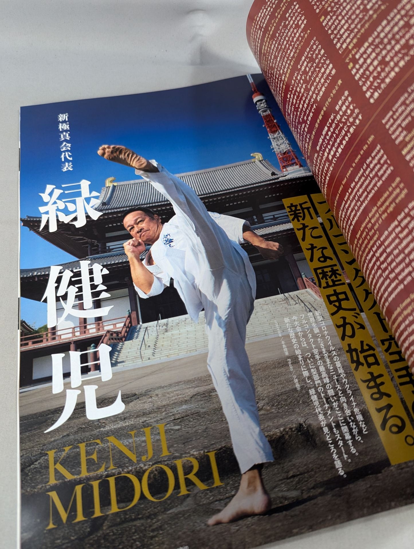 新極真会 第13回オープントーナメント 全世界空手道選手権大会