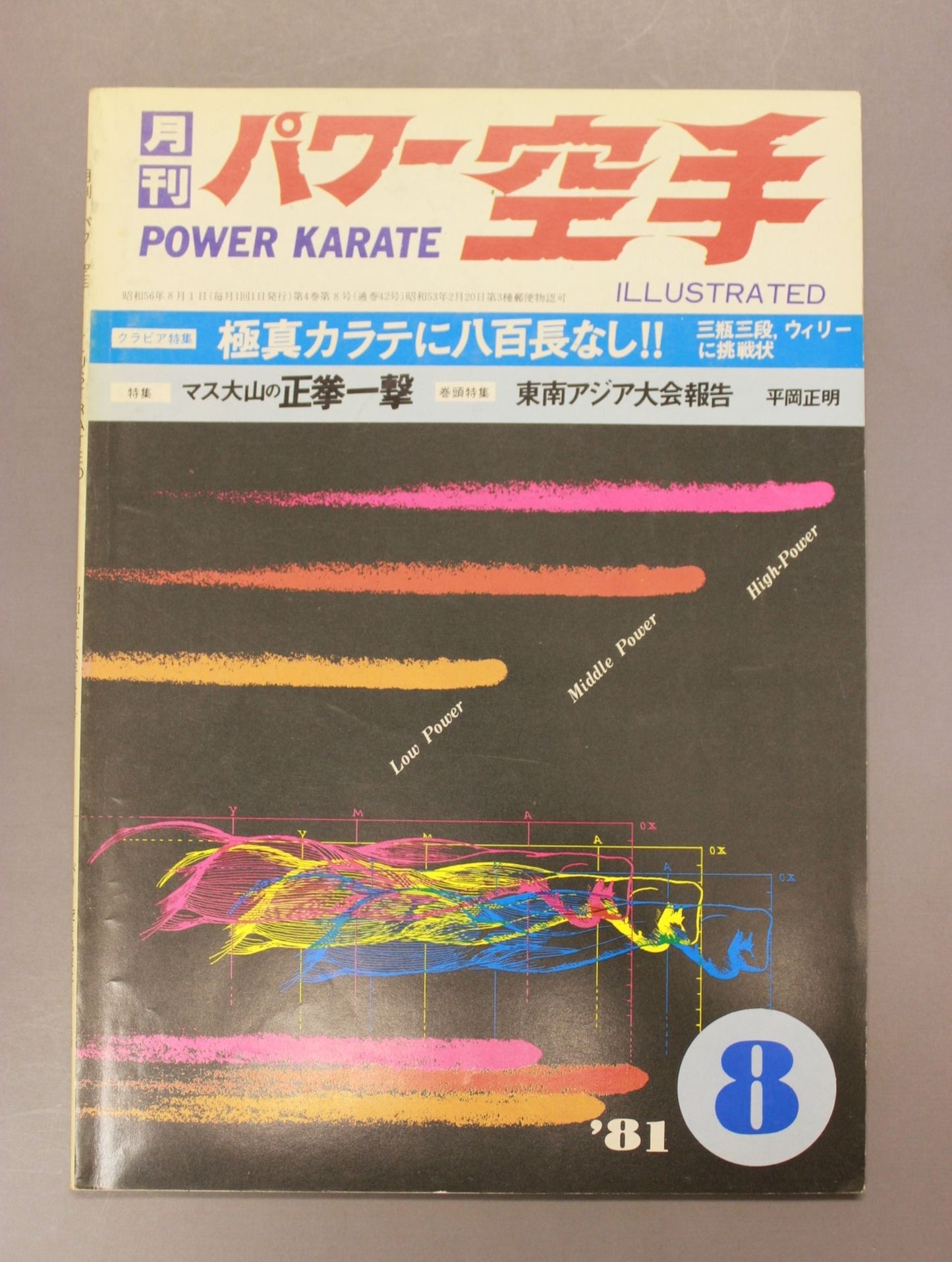 POWER KARATE 42