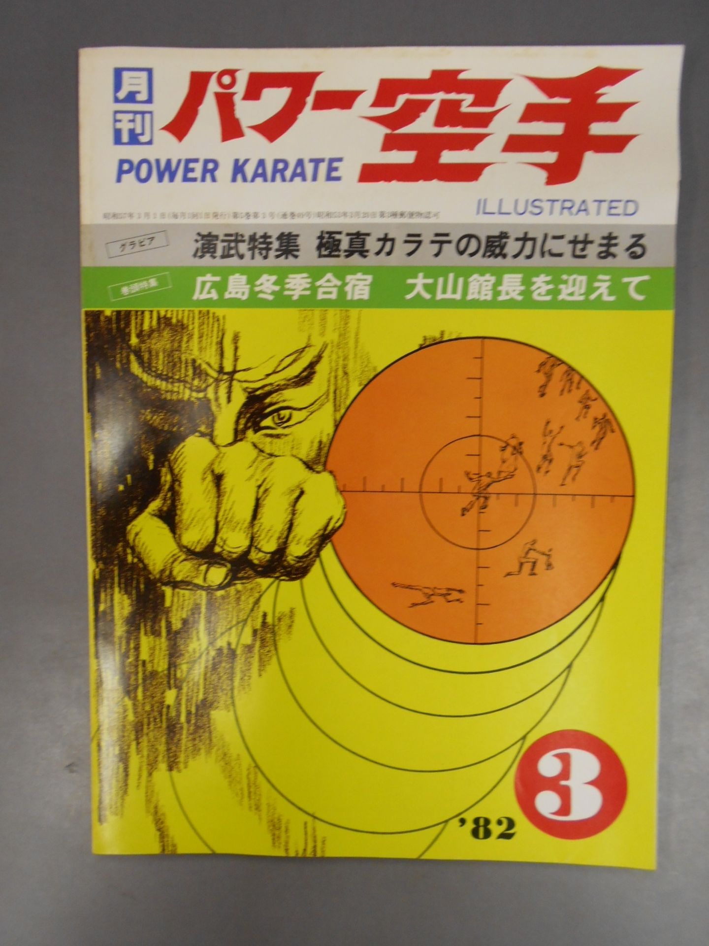 POWER KARATE 49