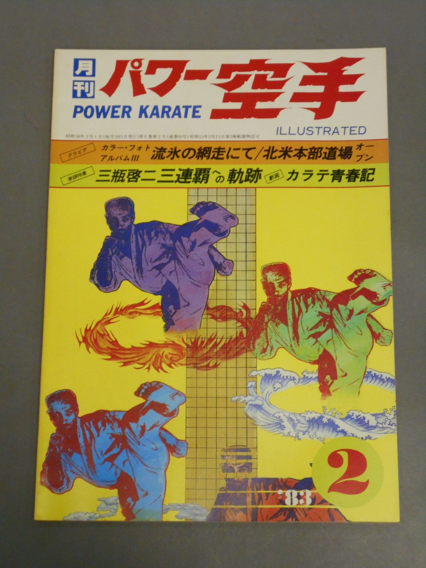 POWER KARATE 60