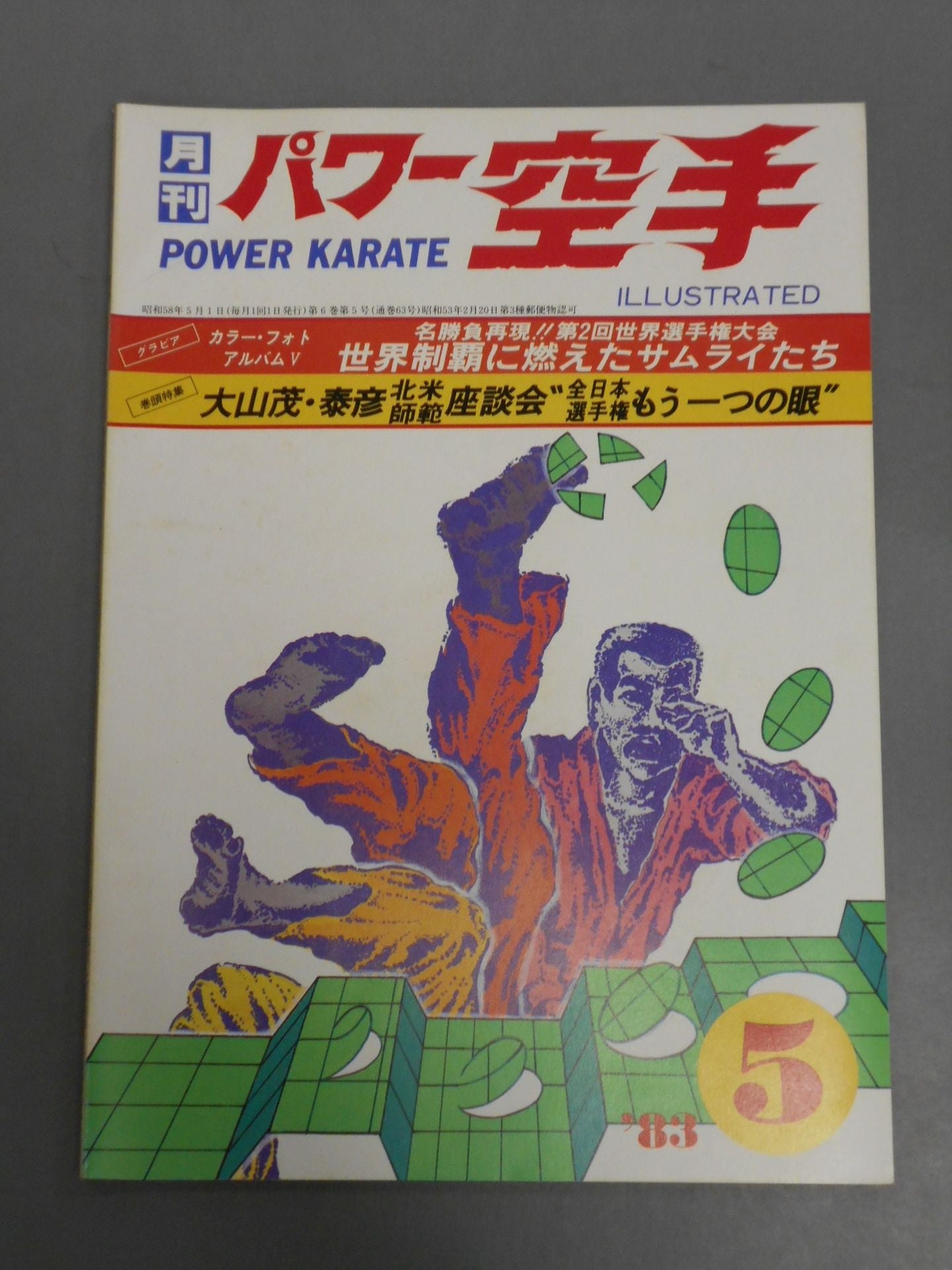 POWER KARATE 63