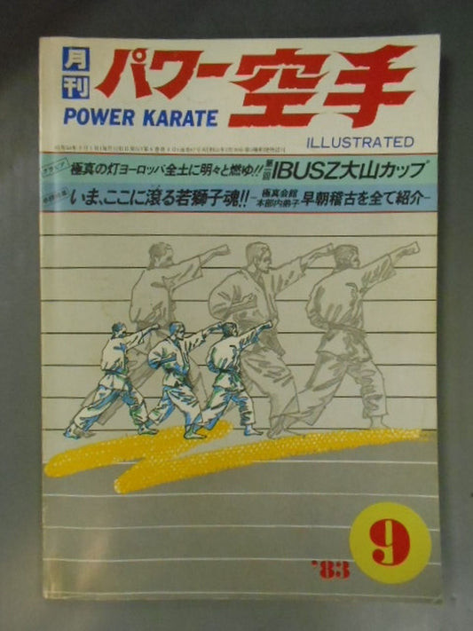 POWER KARATE 67