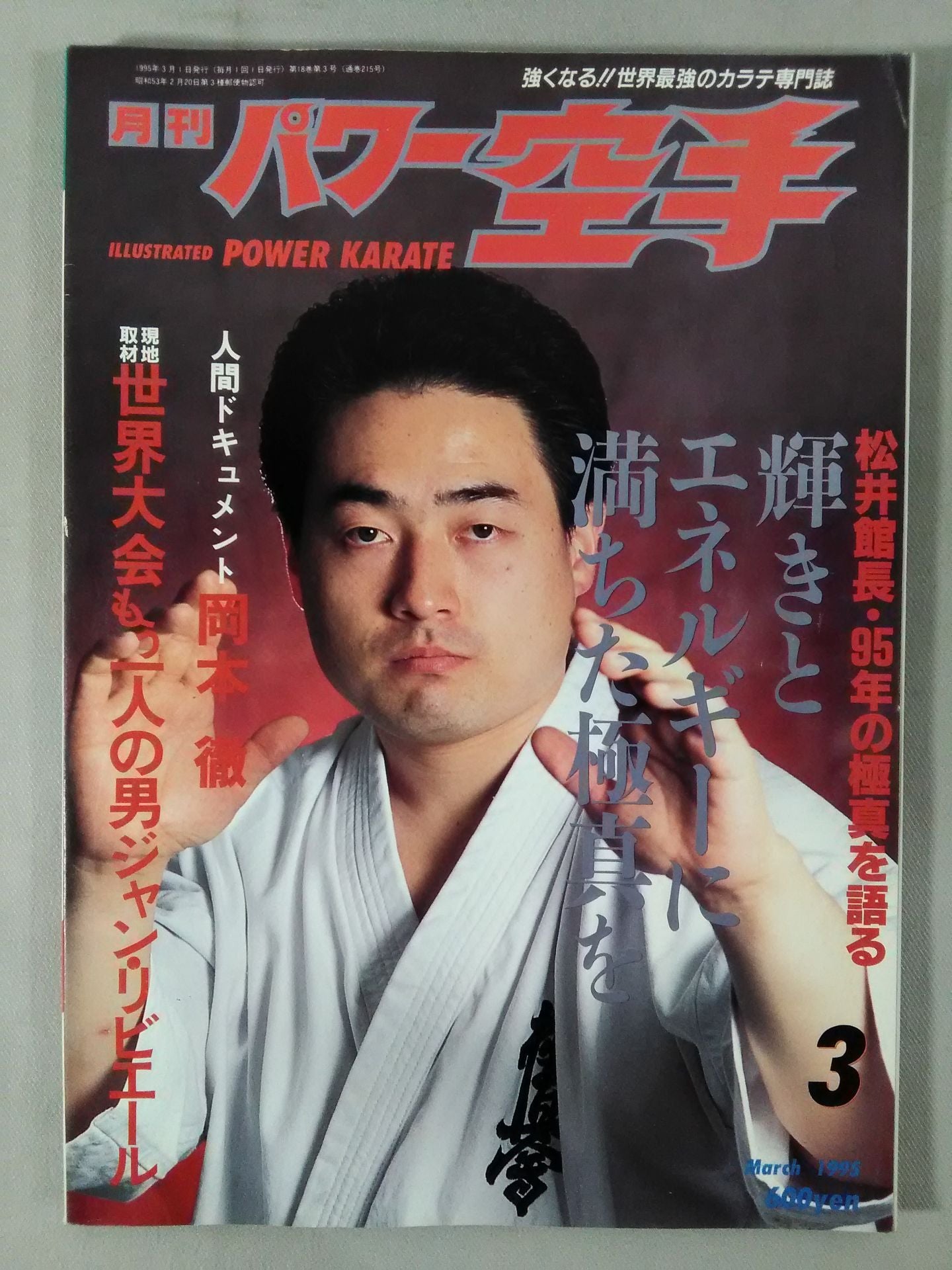 POWER KARATE 215
