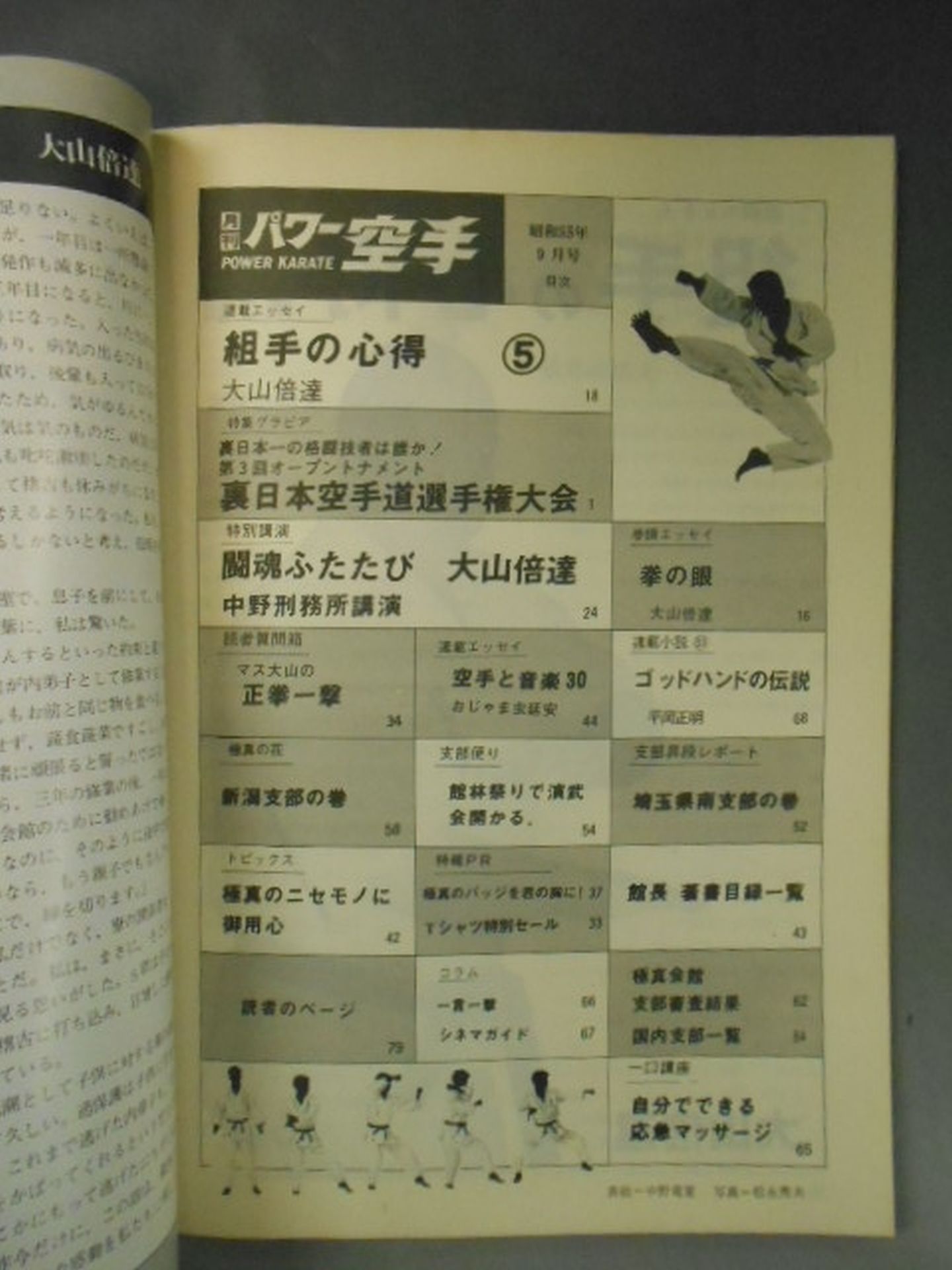 POWER KARATE 31