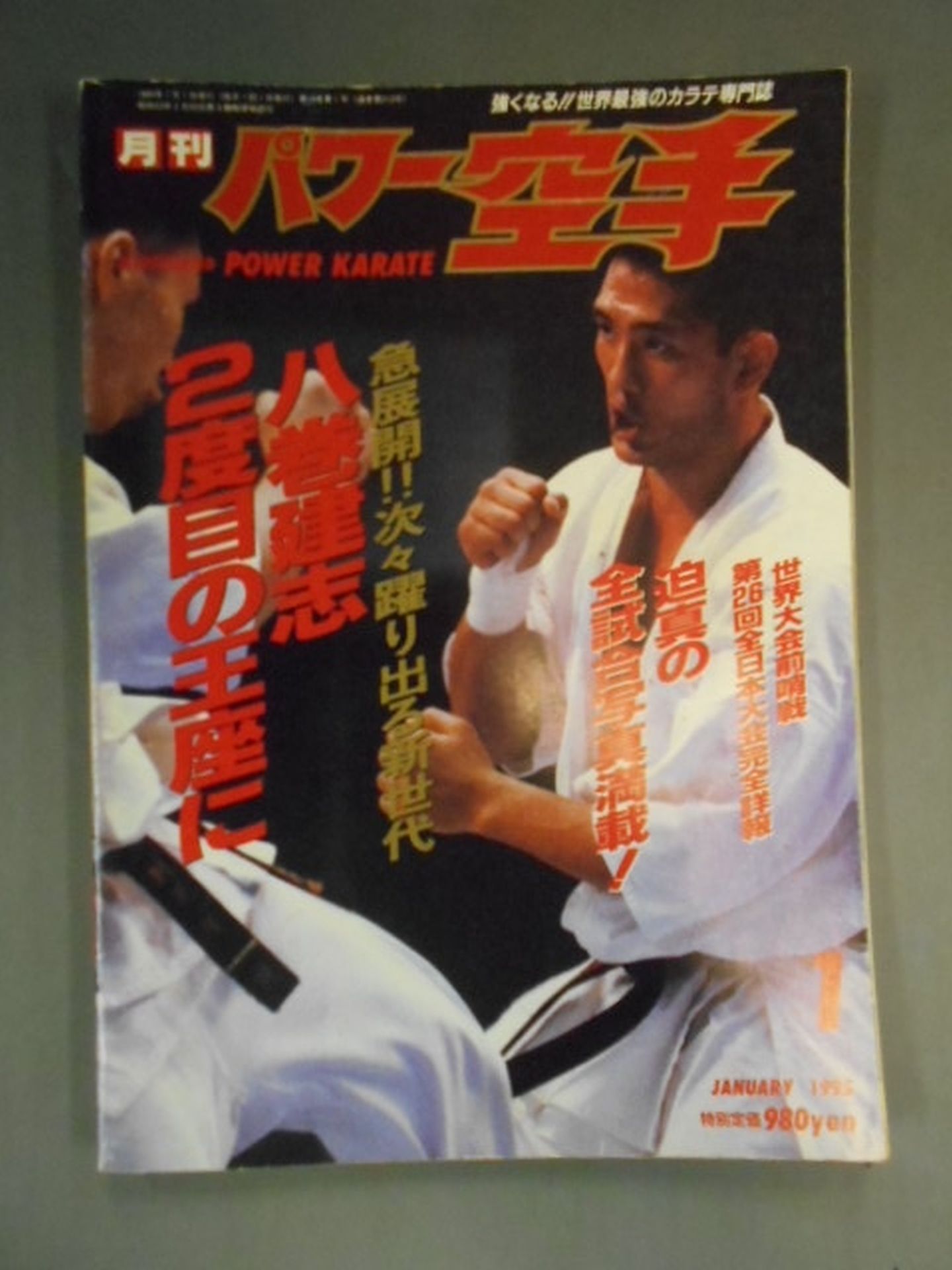 POWER KARATE 213