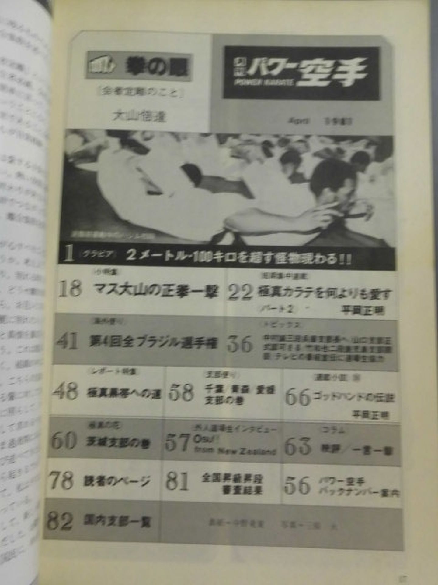 POWER KARATE 38
