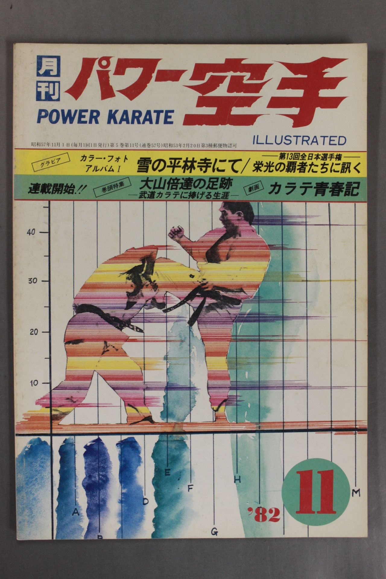 POWER KARATE 57