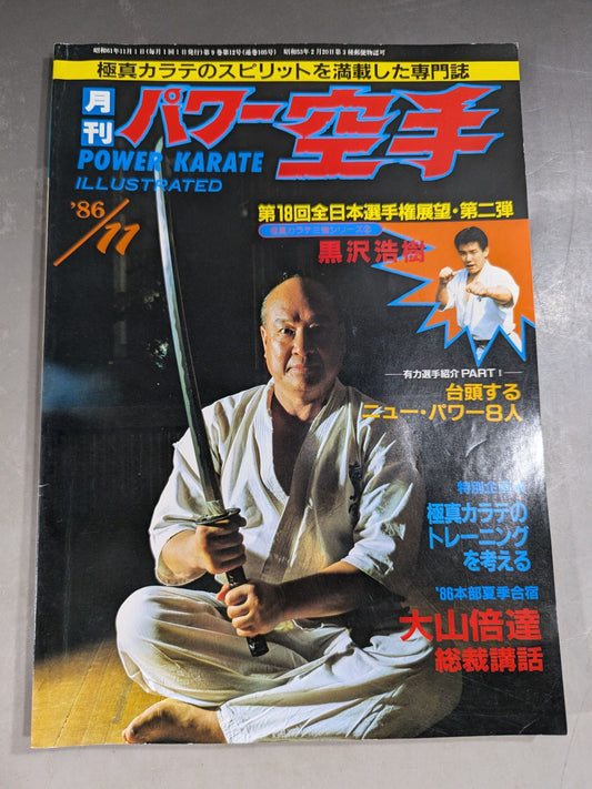 POWER KARATE 105
